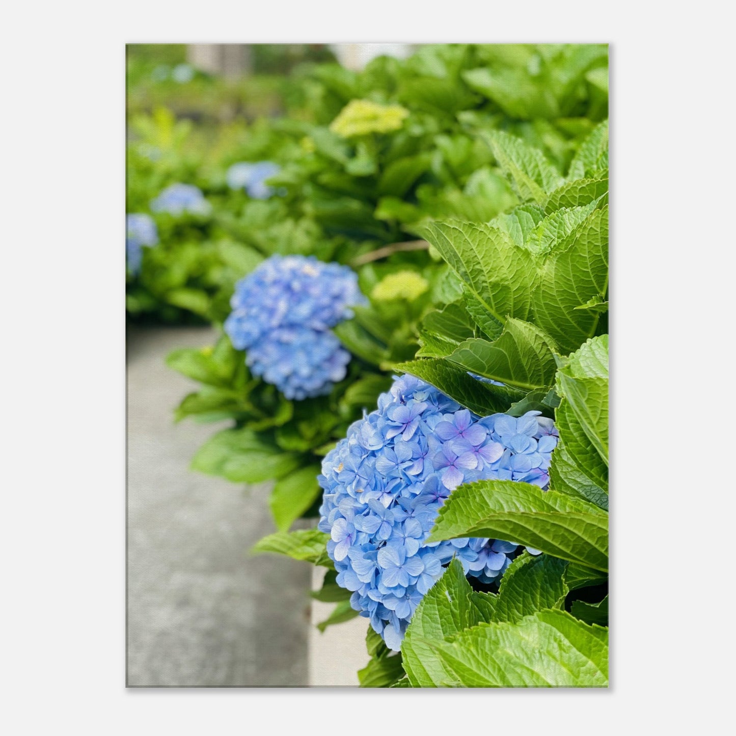 8ad2208f-d18c-4cdf-89b0-7ad988afdfd6