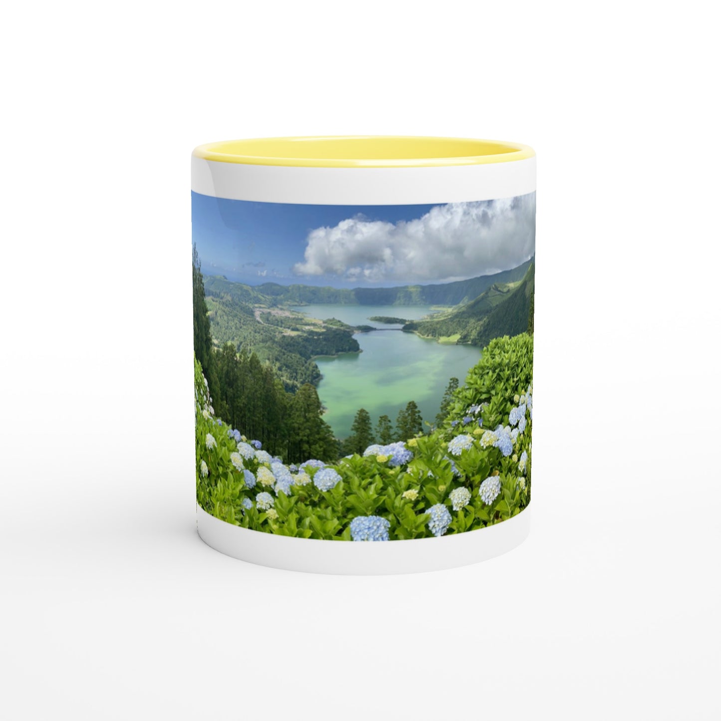 8c170f3f-97ce-4a13-9549-33afe115d7fc