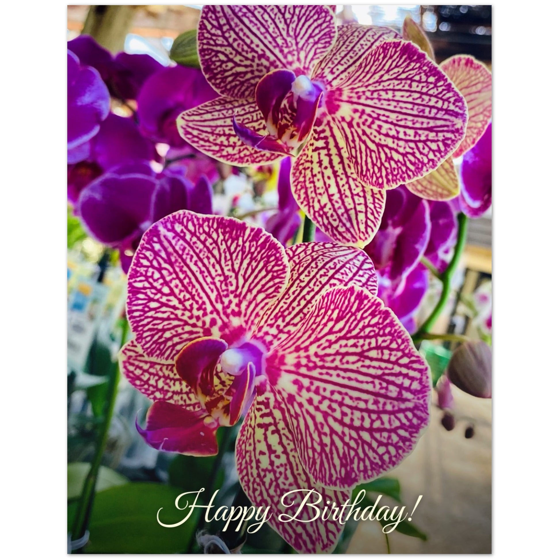 8d1da05b-1d42-425d-bc9f-bf92e209abf7