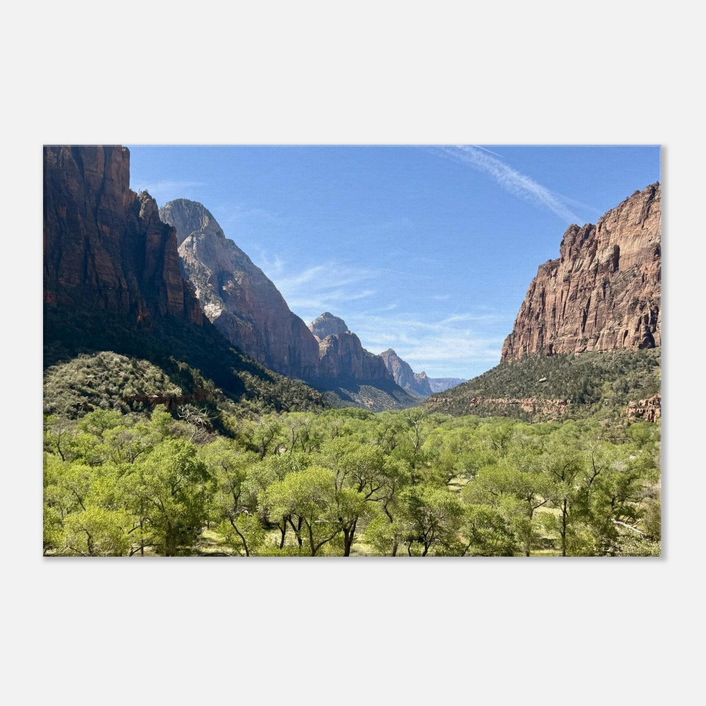 8db7e7b0-8fa4-4b47-a6a3-8b35beb90a2e