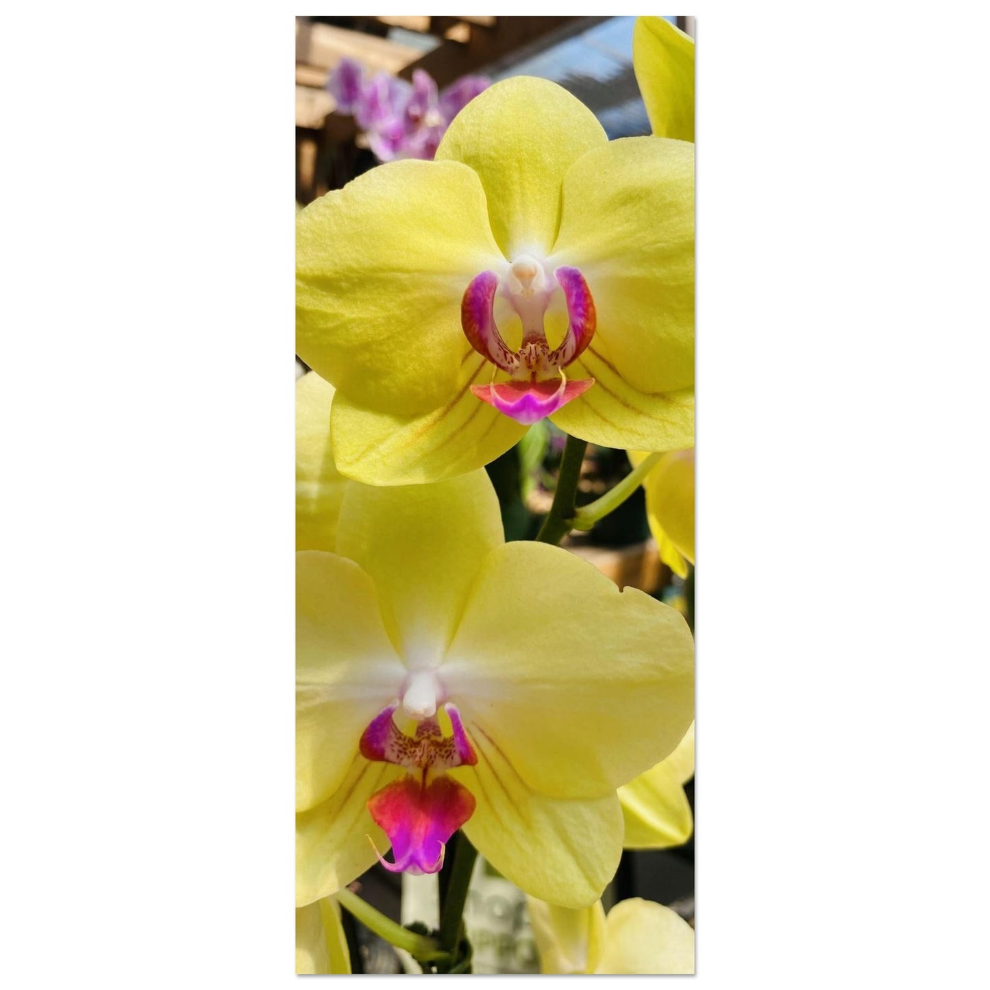 920e1884-d0e5-4007-8016-32d6b7c6f0be