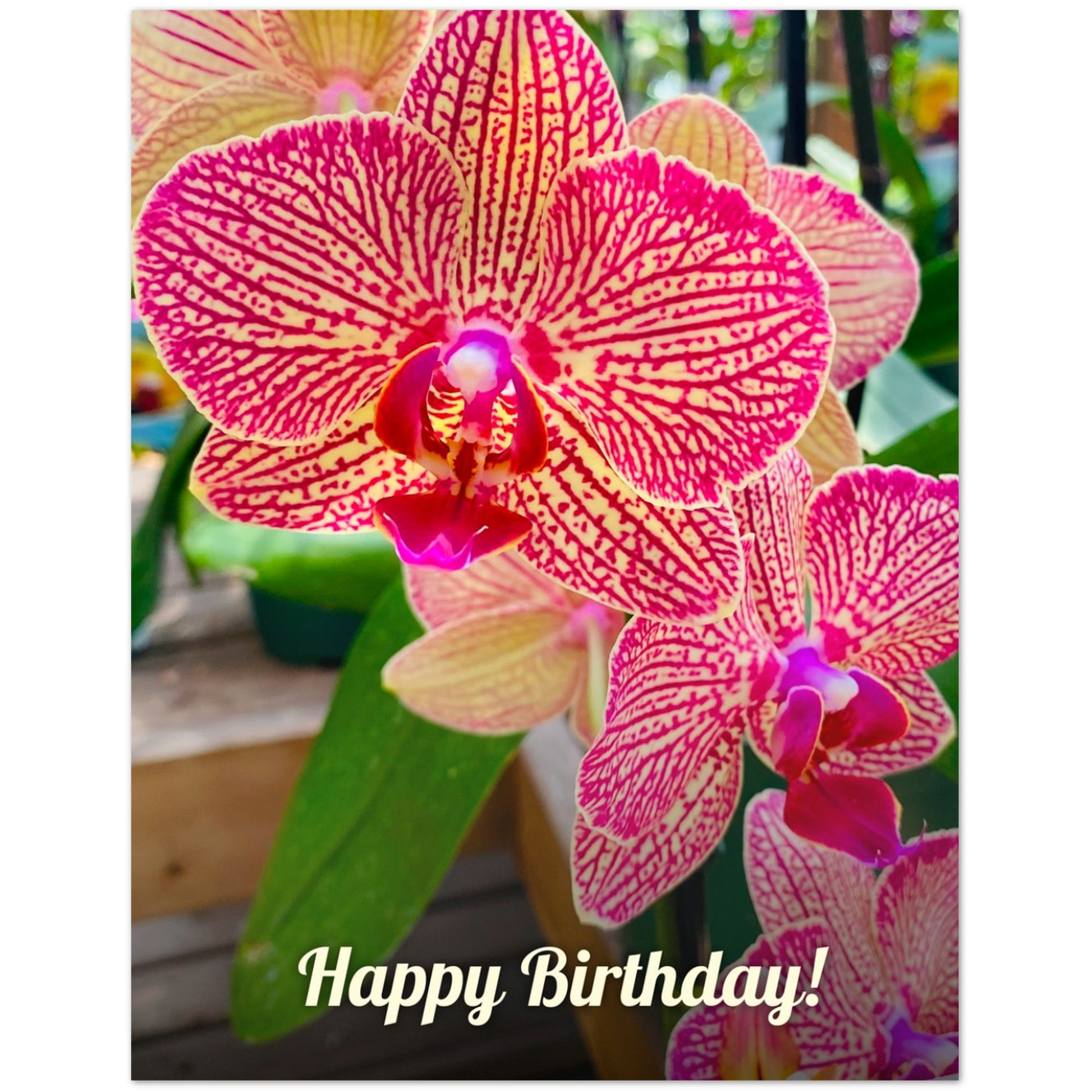 92e7b12f-a38f-4fac-9594-6b324a53fb9b