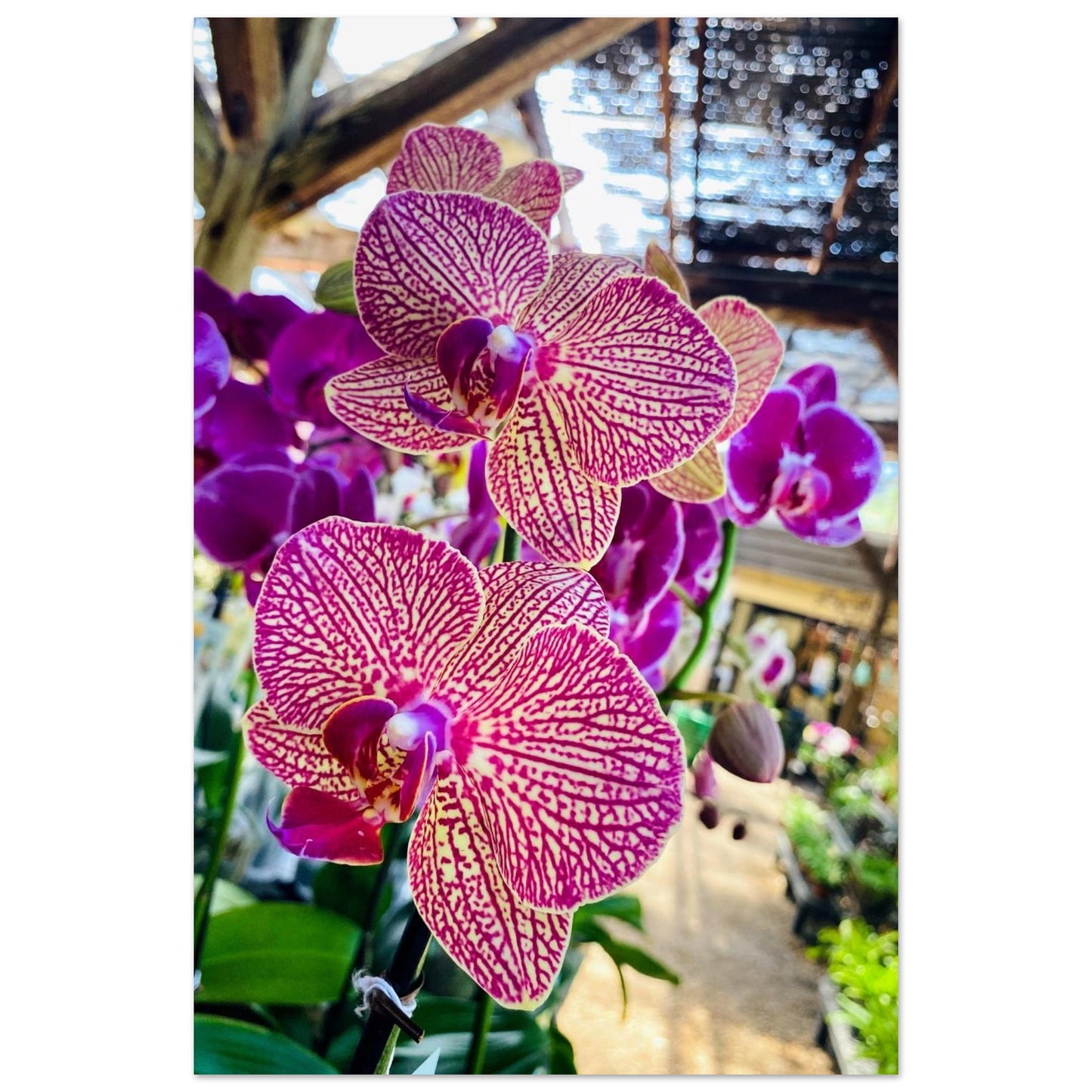 930cfabf-5c25-48e0-b182-62a1417ab46f