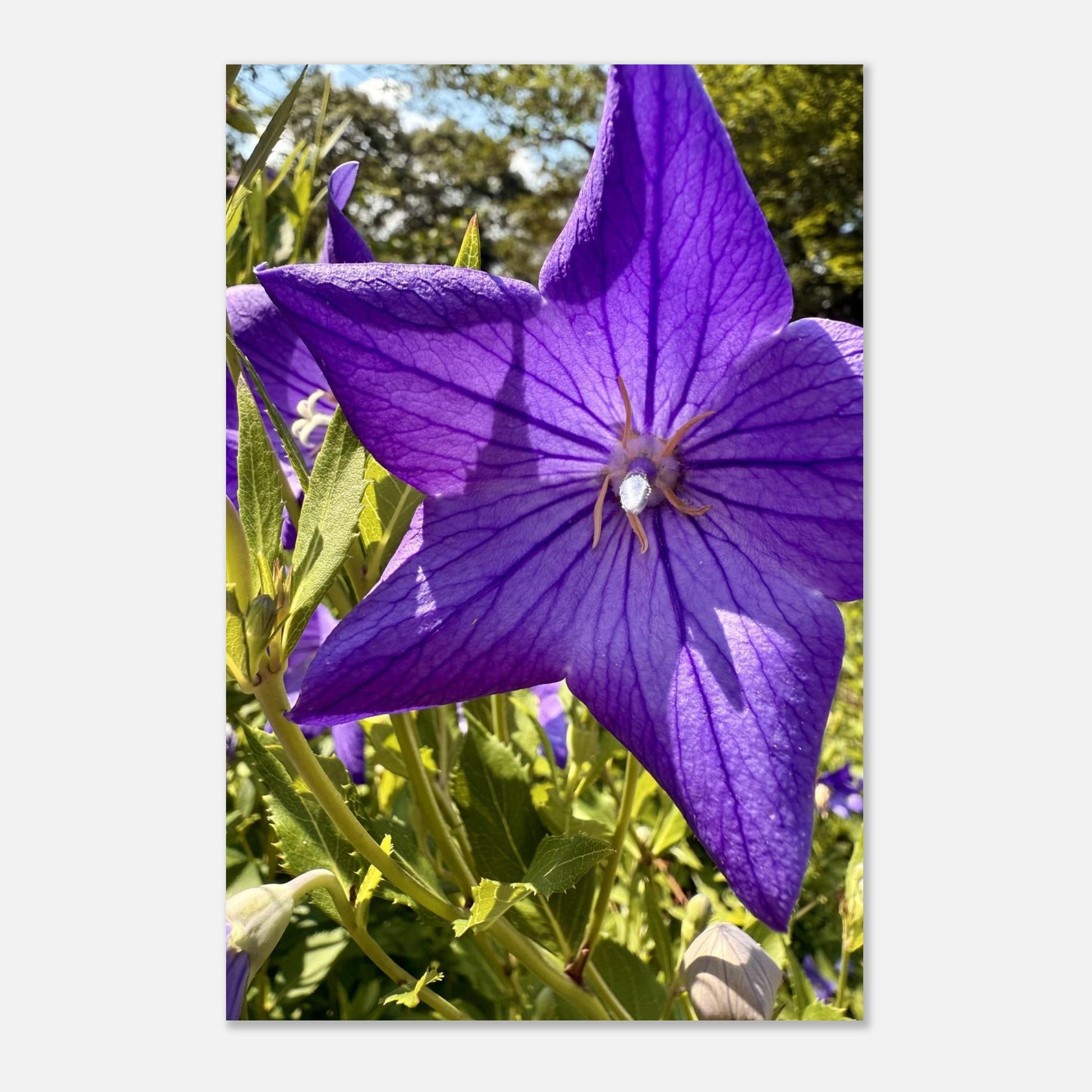 9390a643-88fd-4cff-8522-c39be12650d9