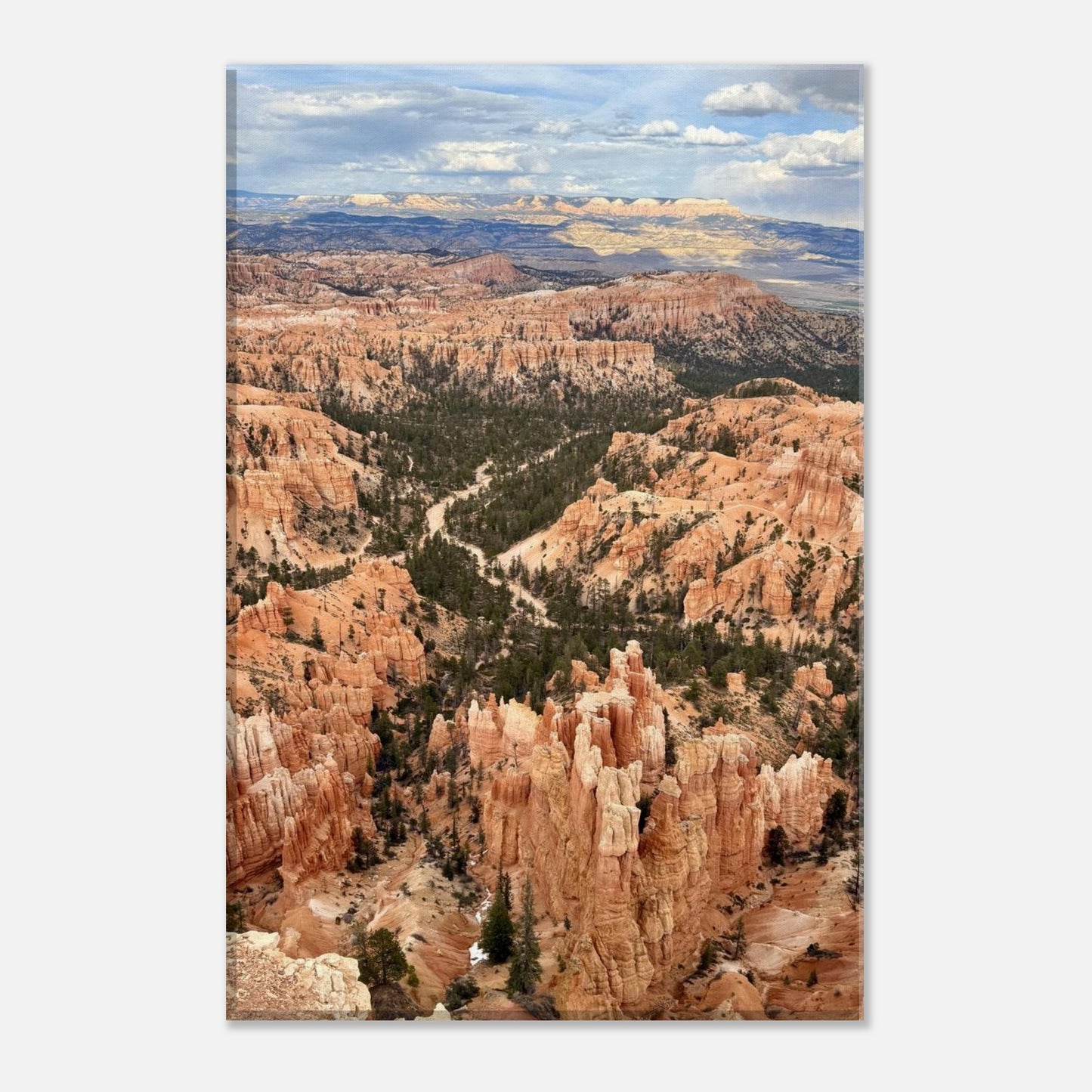 94a77248-2acd-4fa1-8c3d-c96d6f176e29