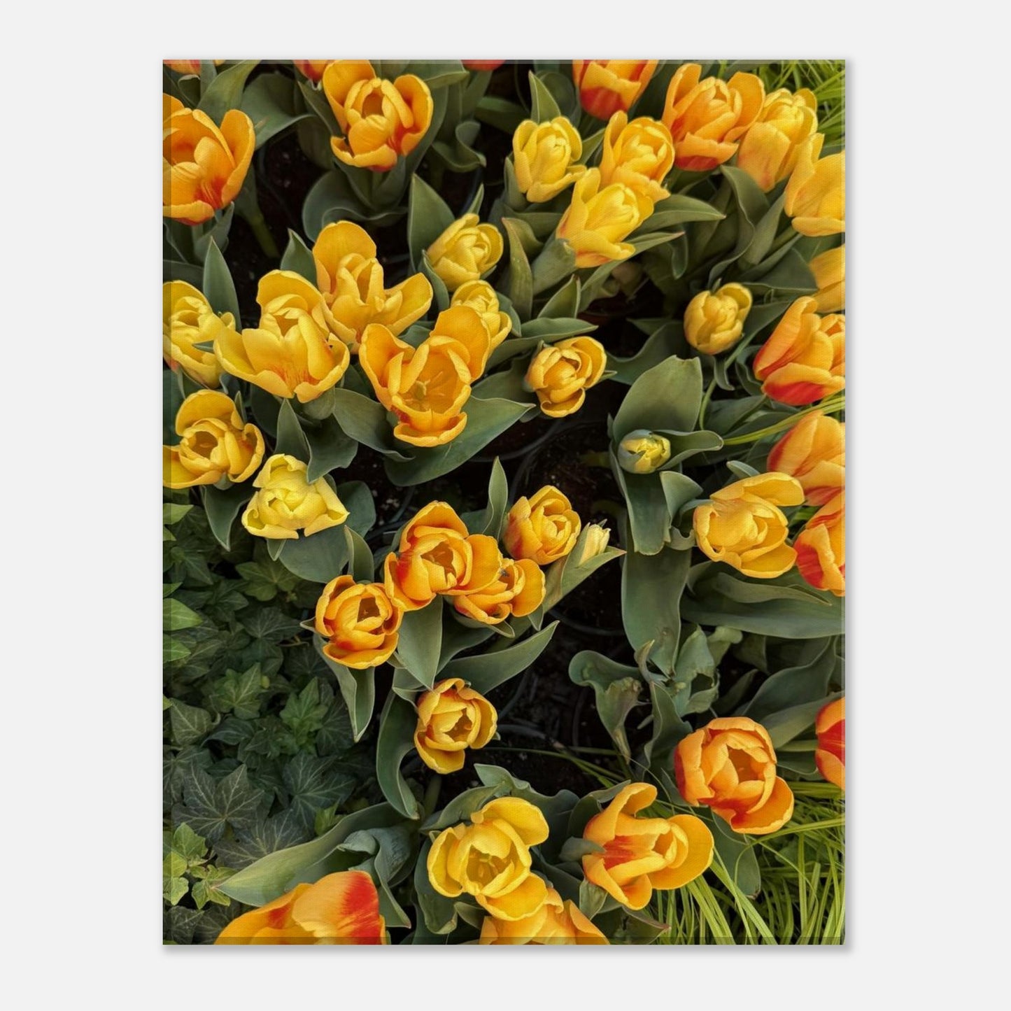 97e61d5c-6591-41b7-bcf0-71236c5fd468