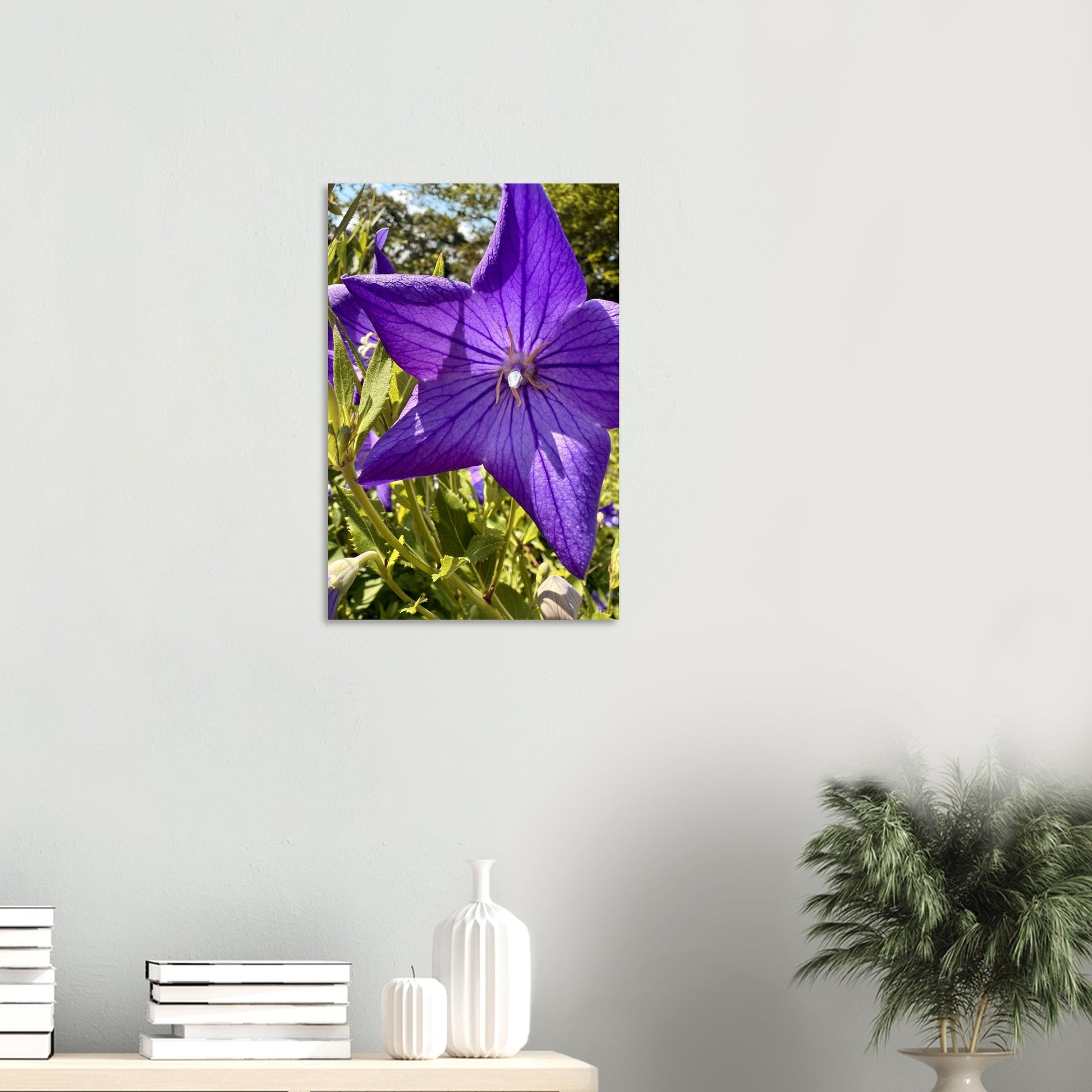 989da07a-7e30-4136-ad70-0934790a5f87