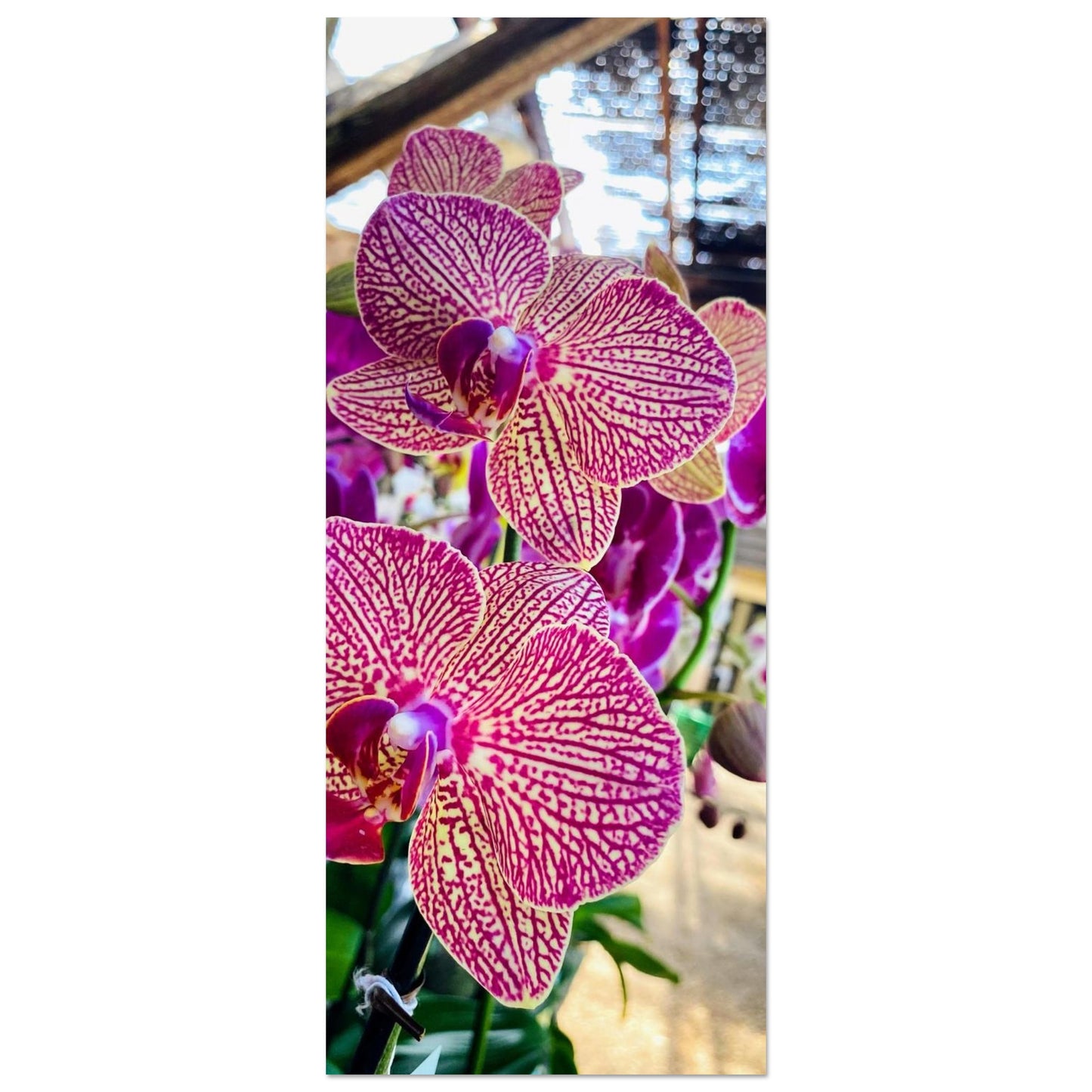 9b85aea4-fb53-40e1-9bd6-3ffe8c272937