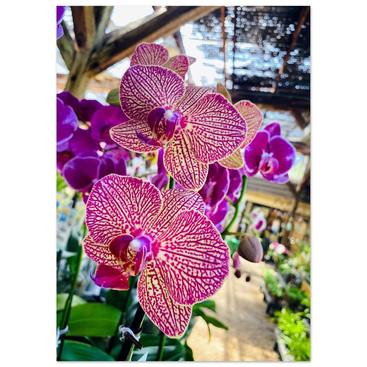 9b8eef38-dde1-4a32-a5ca-b49eae9c15b9