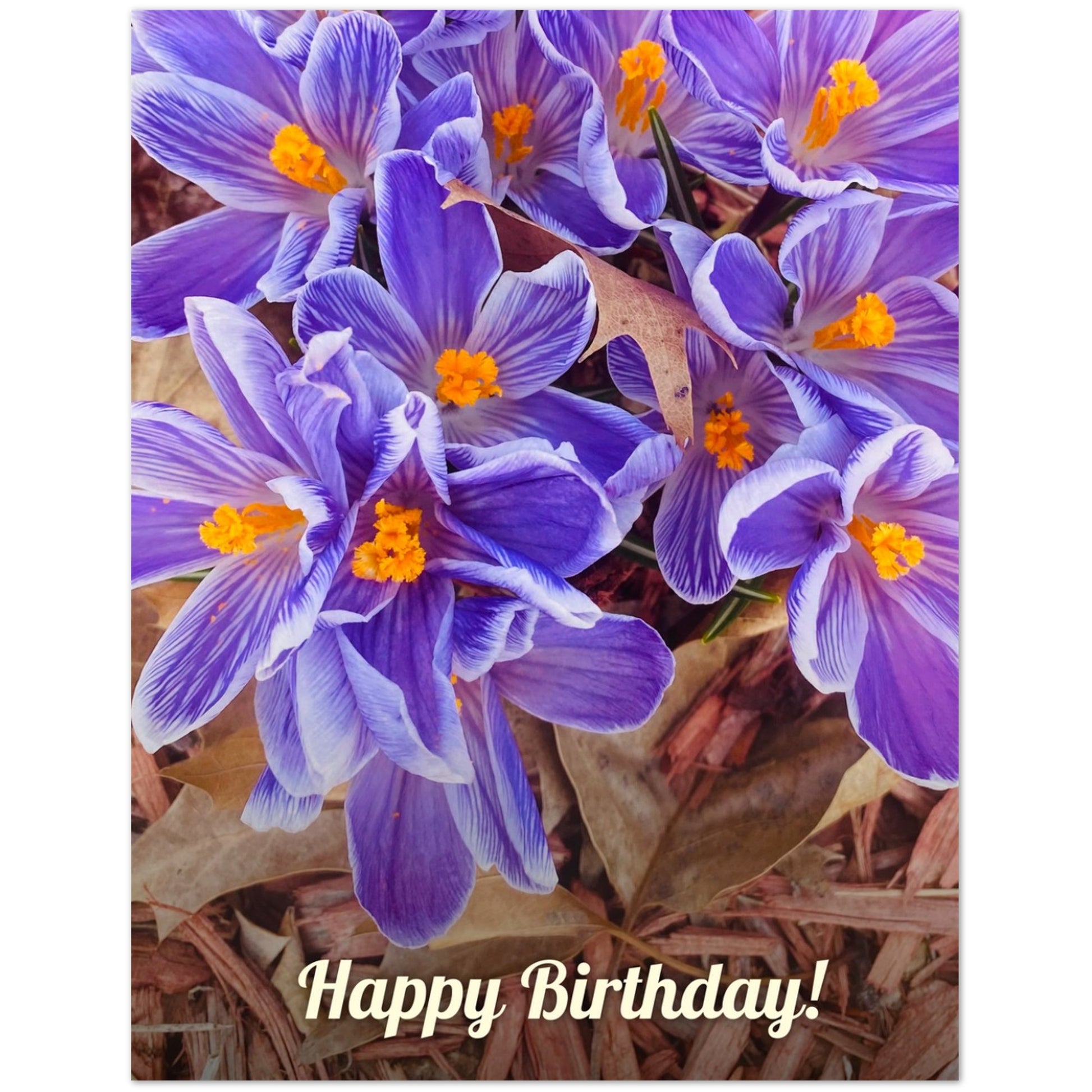 9d06bef7-8217-4c7b-afc5-b6e8689aa403