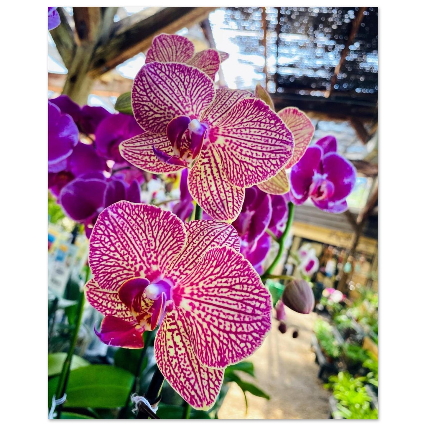 9e861471-3870-4bd5-99cc-12ff3cae8d56