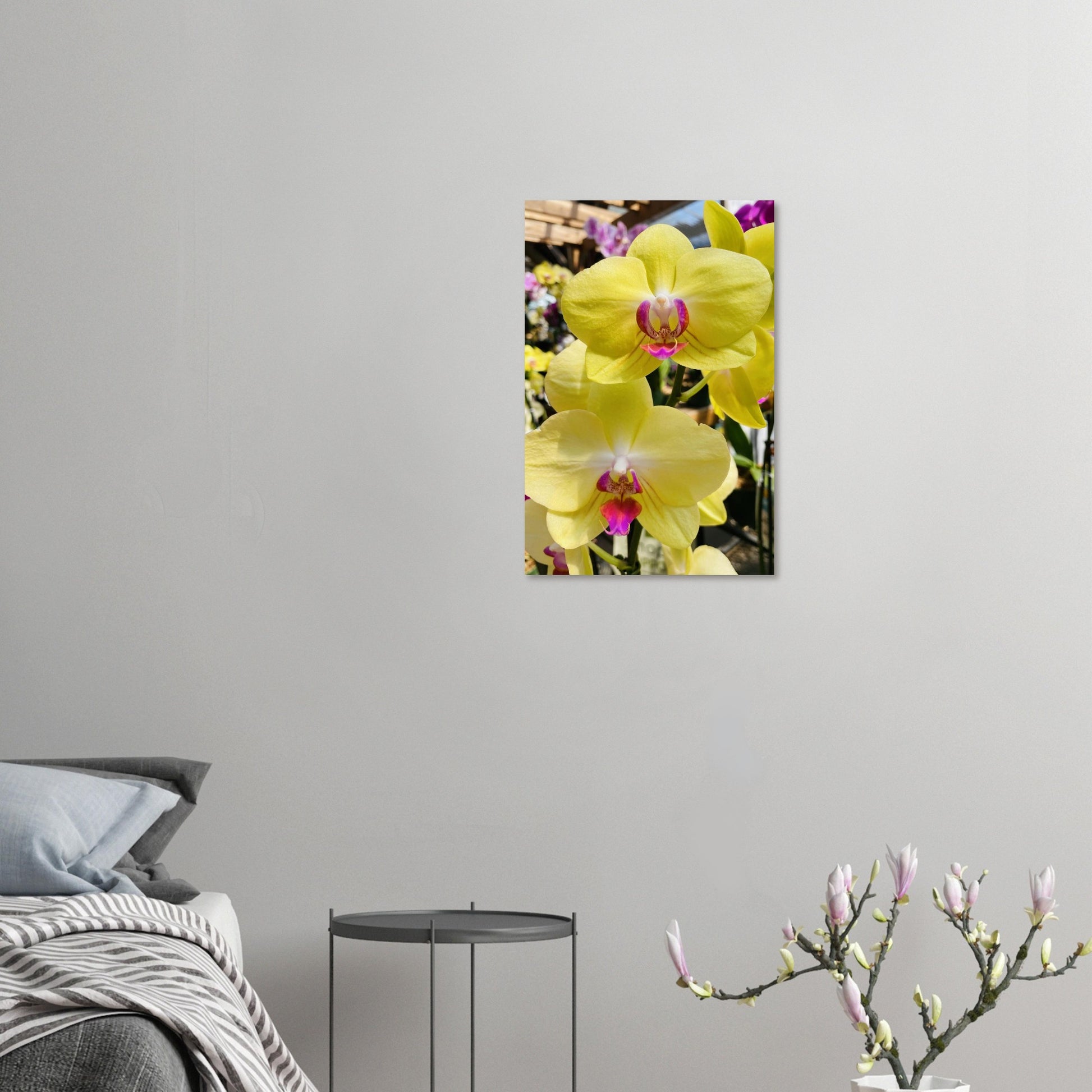 9ee4a631-cad1-4a92-9293-0fa8e21af426