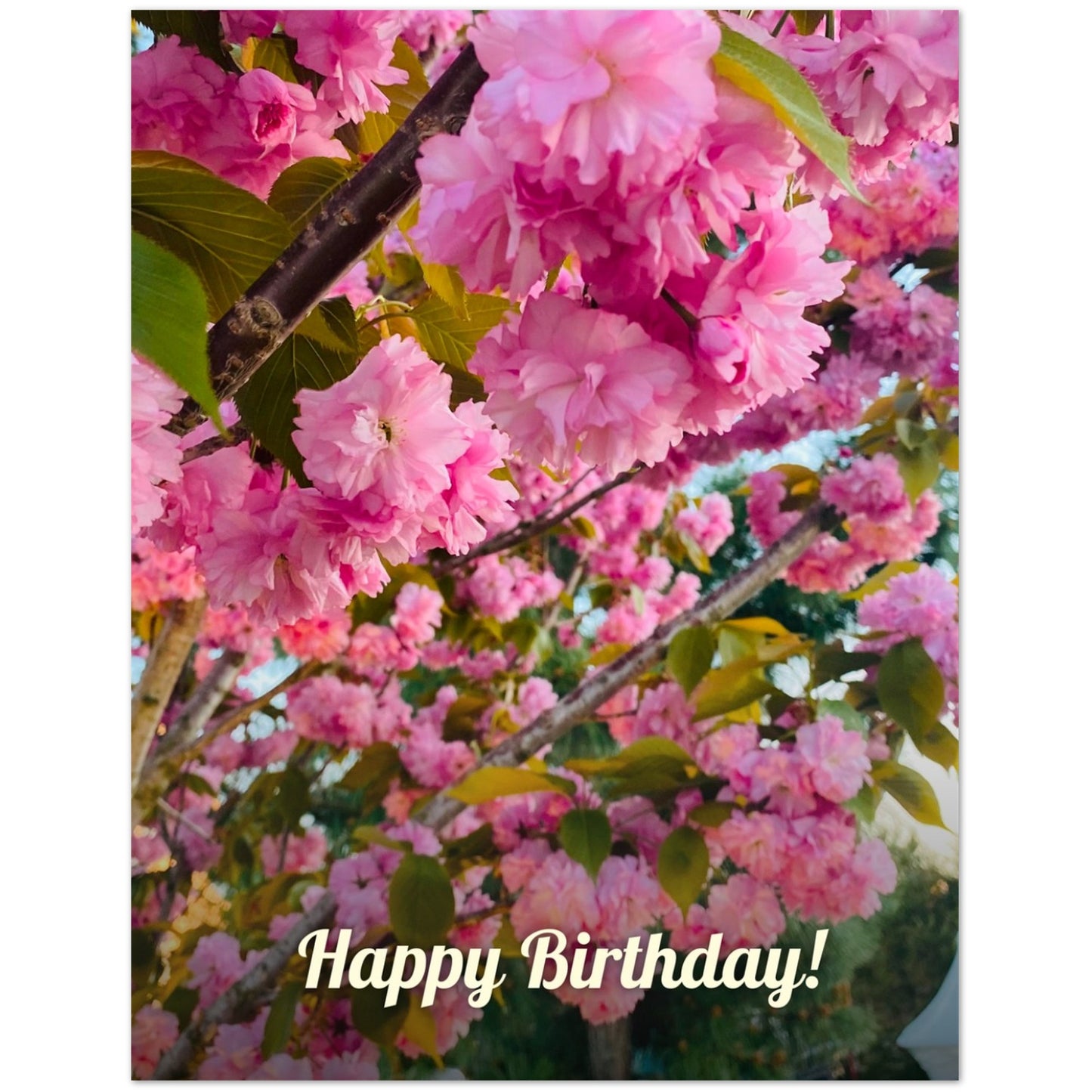 a32a71a8-93aa-40c8-8dd6-62837248d90f