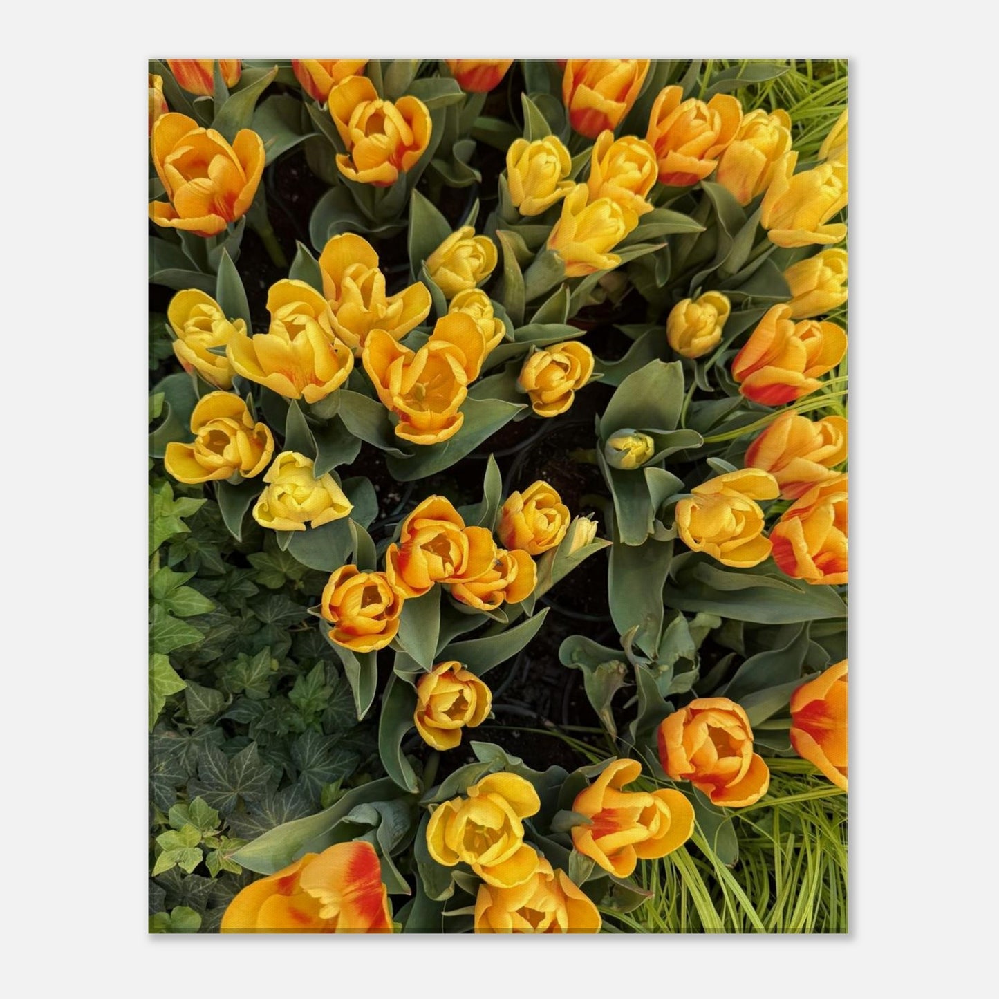 a3c68930-c298-4c65-af84-7054e0521c6f