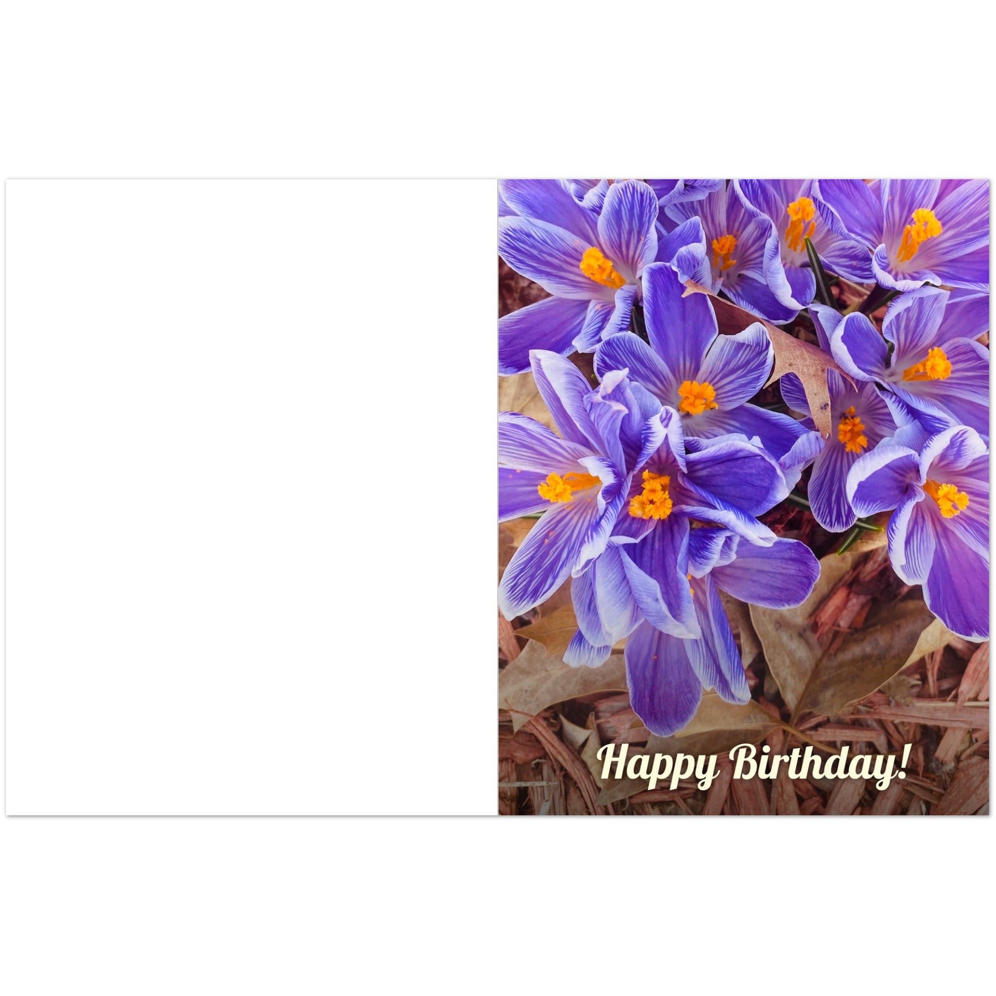 a50ffa42-4a62-465f-a901-8047c1cc4a75