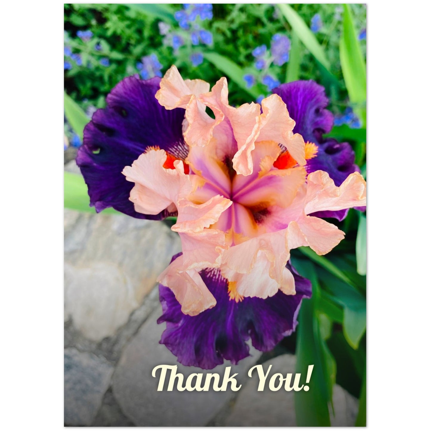 a7c1df8d-ca3d-45ac-9af1-c99d6b02d542