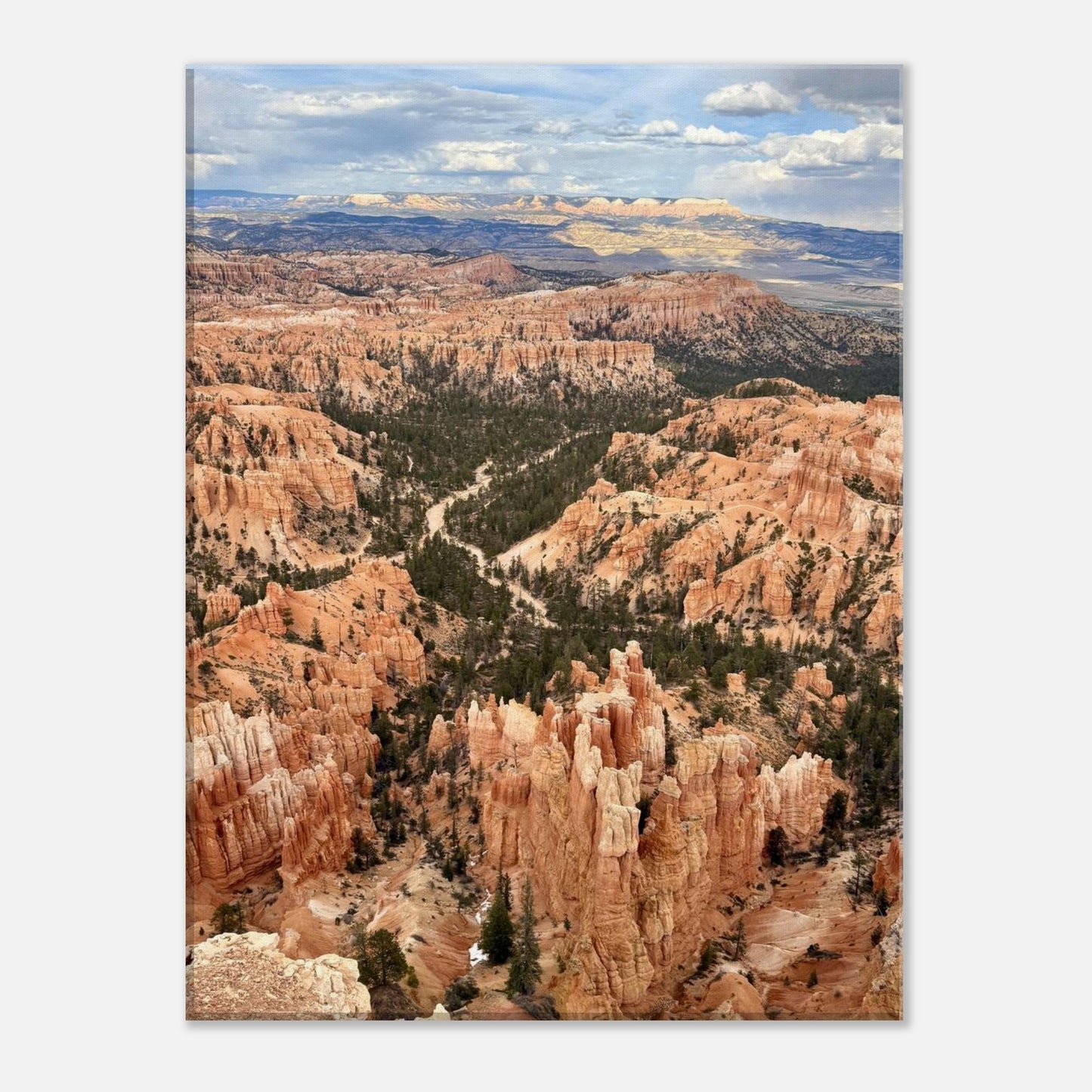 a9c314fd-f540-4911-8830-d2e84a73dcb2