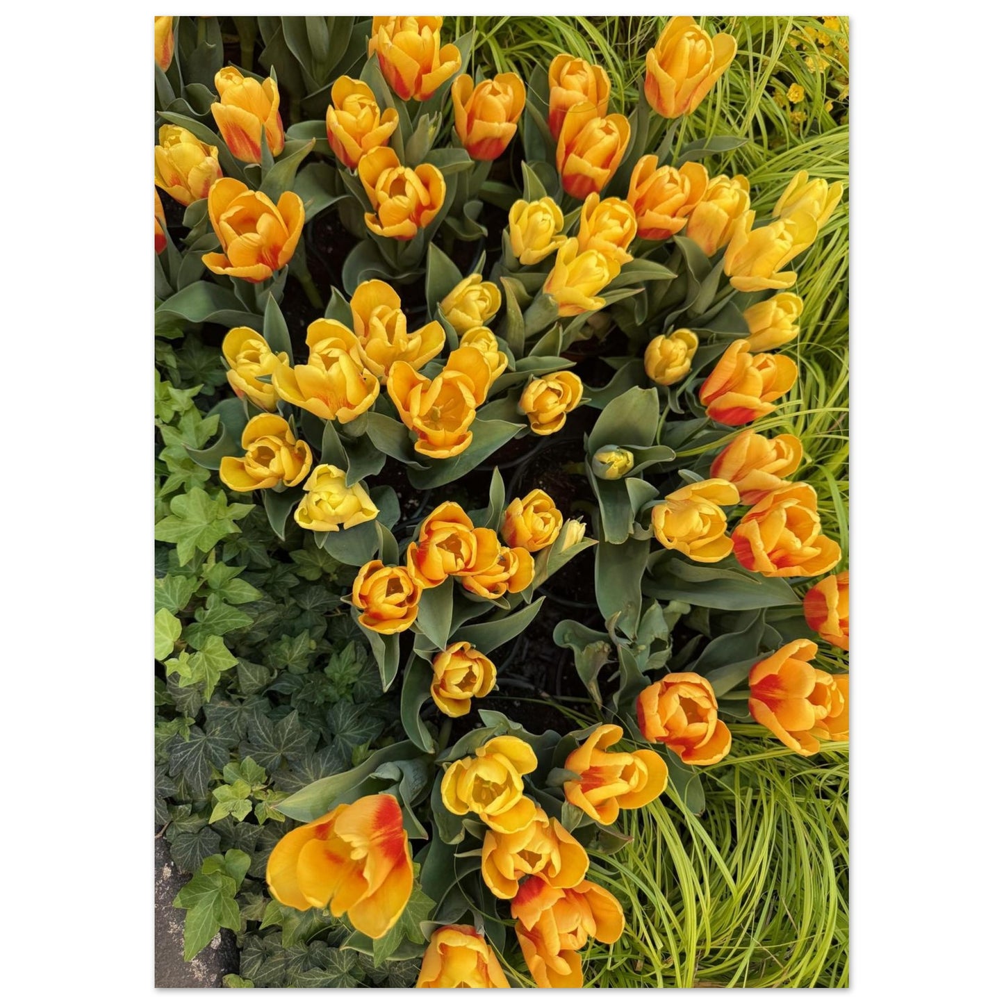 ab910196-6c36-49ca-9b80-c3cb2766f03b