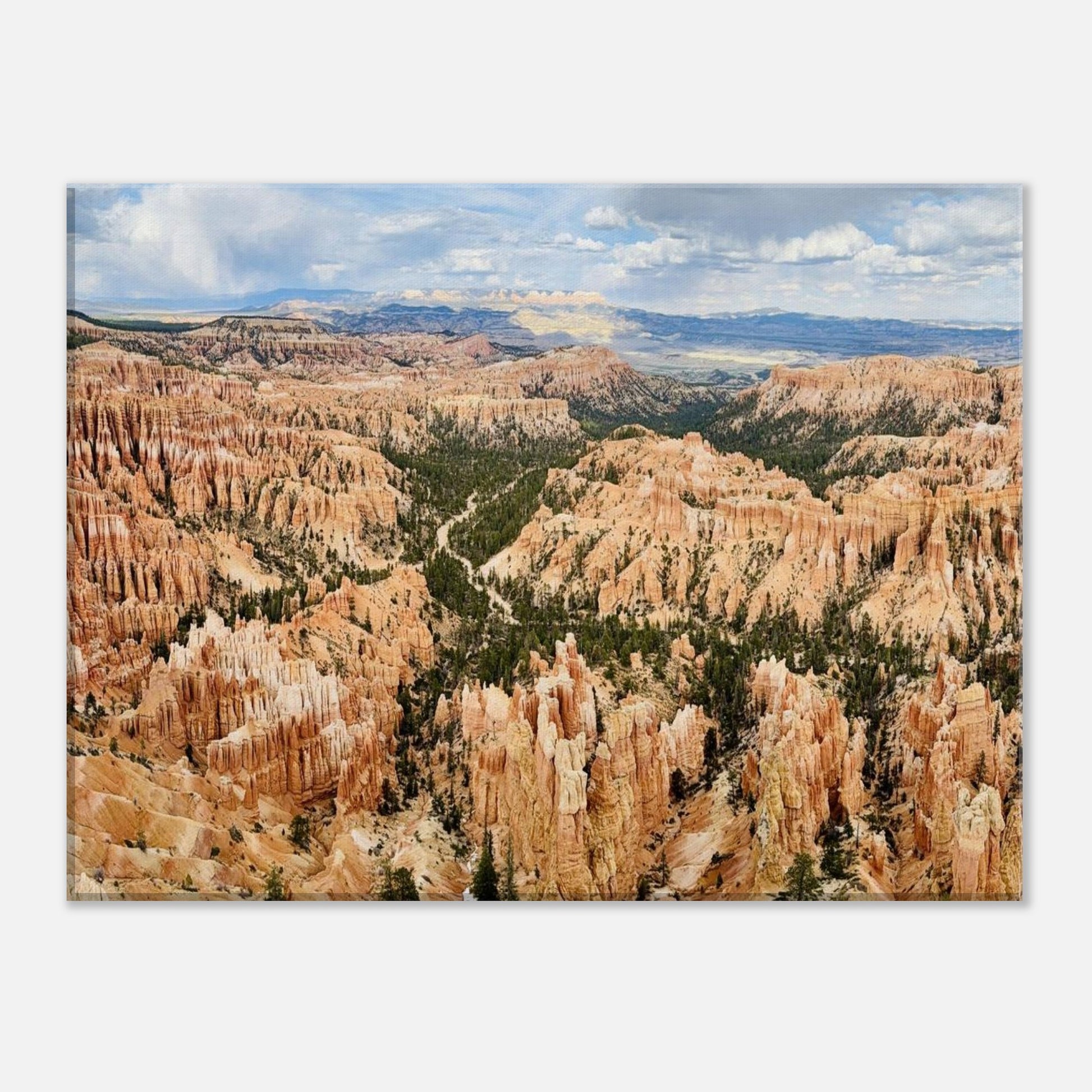 aca09996-1bc1-4a39-8977-158e8dbbcee4