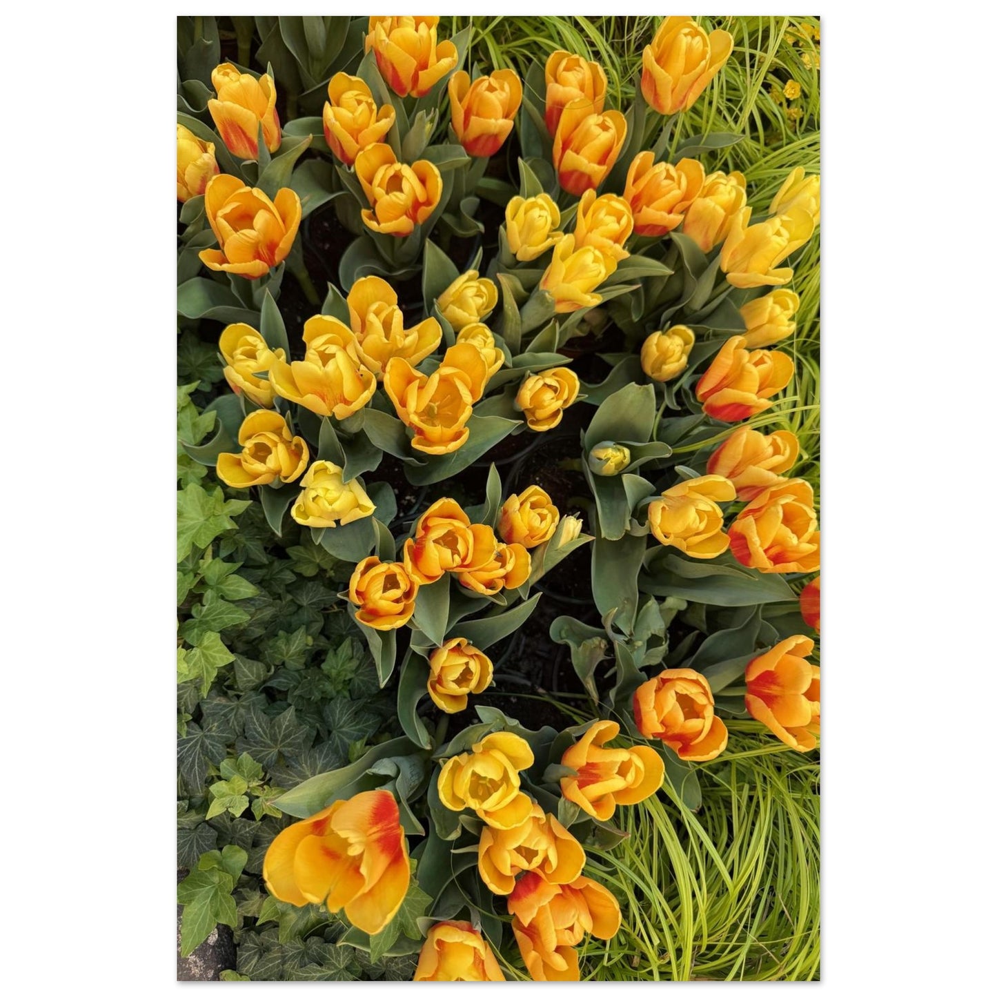 acdc3d99-1207-41dd-981a-e01037970c75