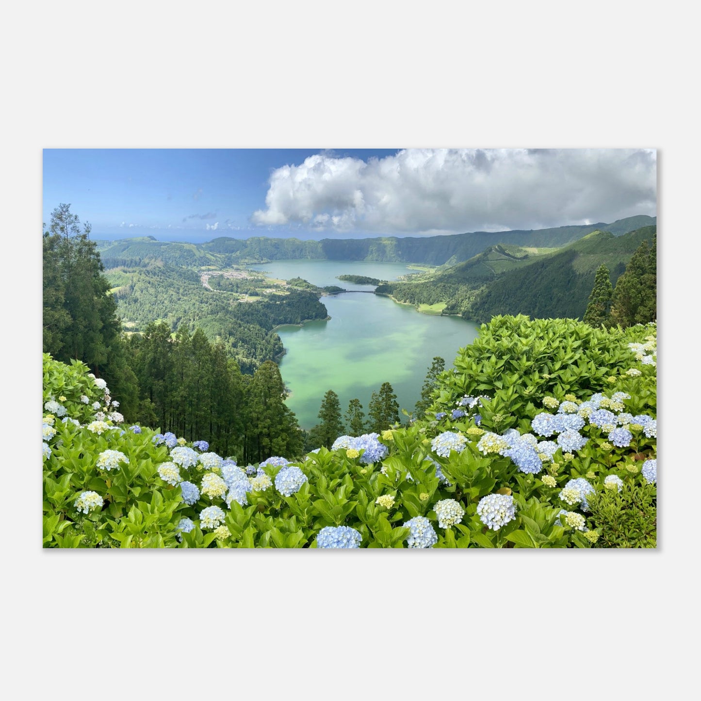 adcba598-03fb-4662-84a0-2e593cf1b592