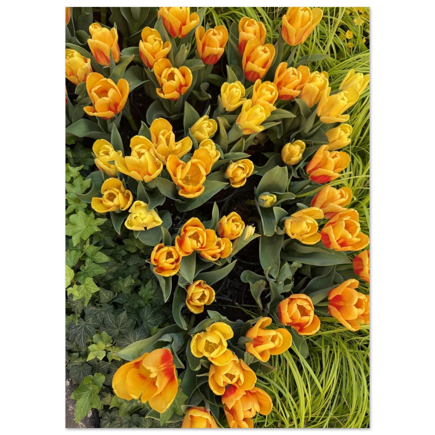 ae96cfcf-9672-4d67-a1f4-2fb9f3b06ef7