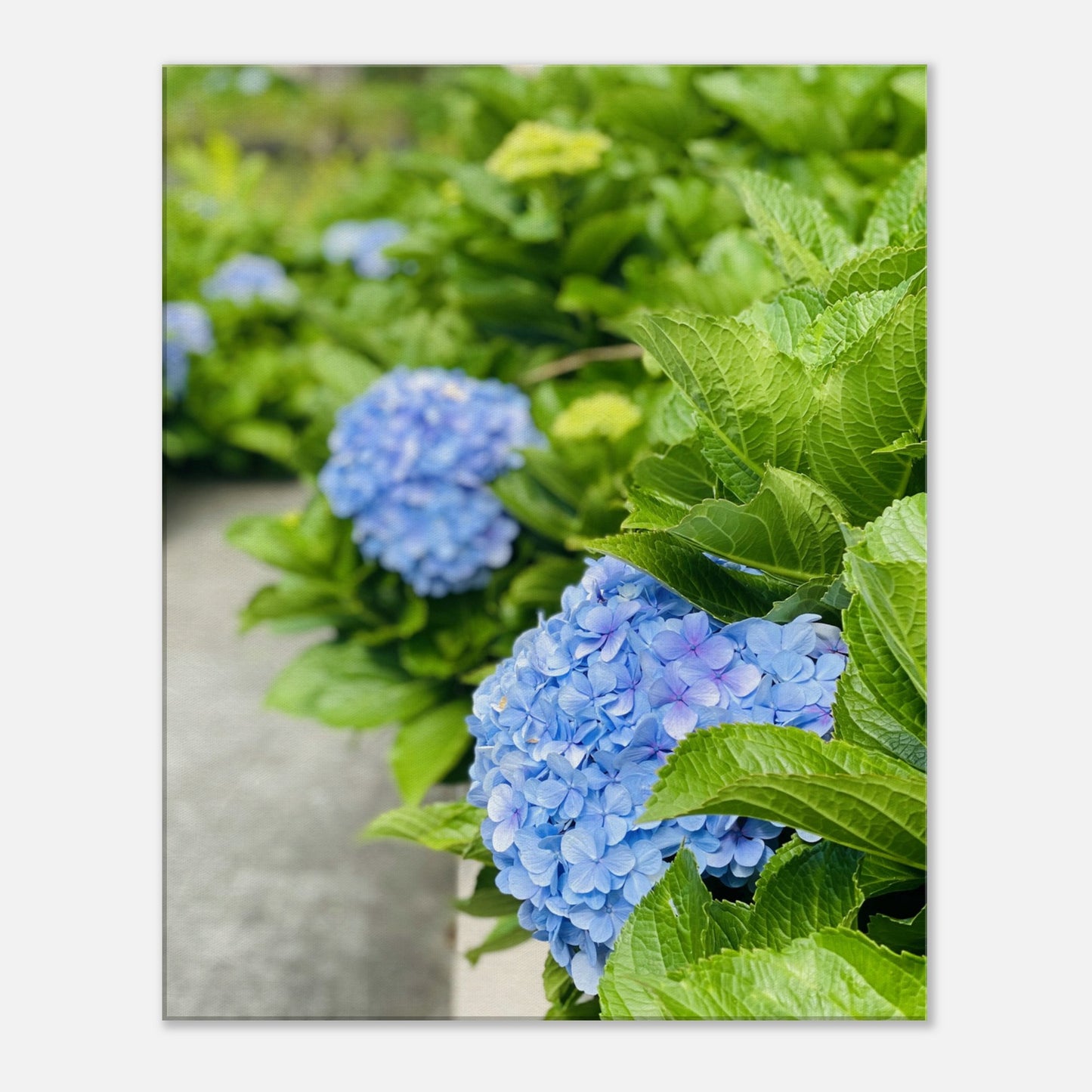 b0bcdd2f-7324-4411-9b68-edf03856df4a