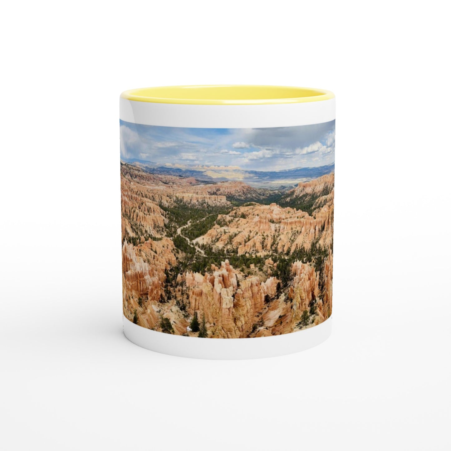 b22487c9-9135-4bcc-b533-a55729fda405