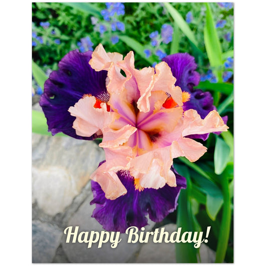 b2c4fbae-42a4-4d57-95bd-345f329a4d14