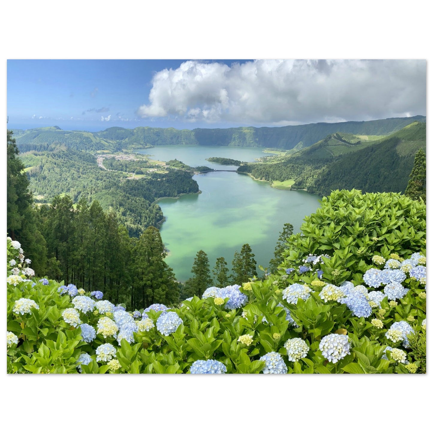 b492d8e3-5cca-4608-987e-bc7414b8a130