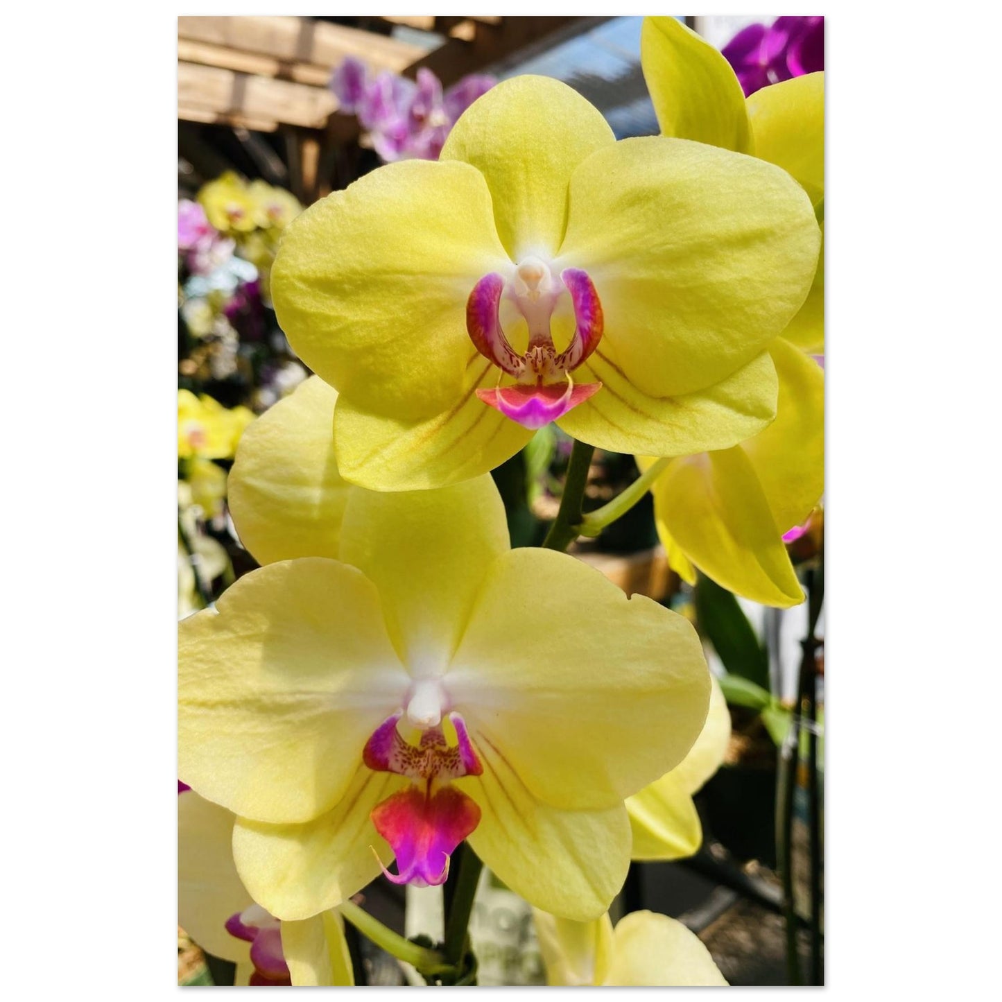 b4cd306e-ce40-495c-bb91-4416b31f6398