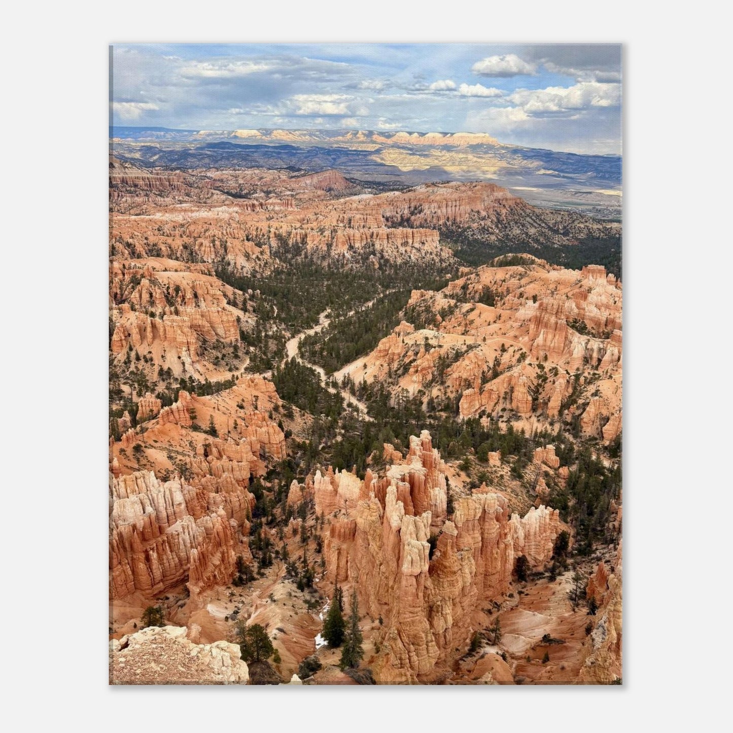 b4e63d79-5863-41cd-ba07-d0fc547579fe