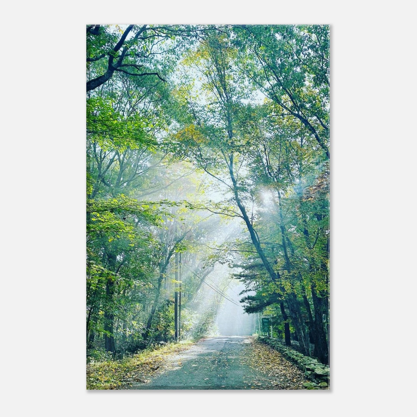 b4e99622-816a-4043-b52d-df0295f6ee70