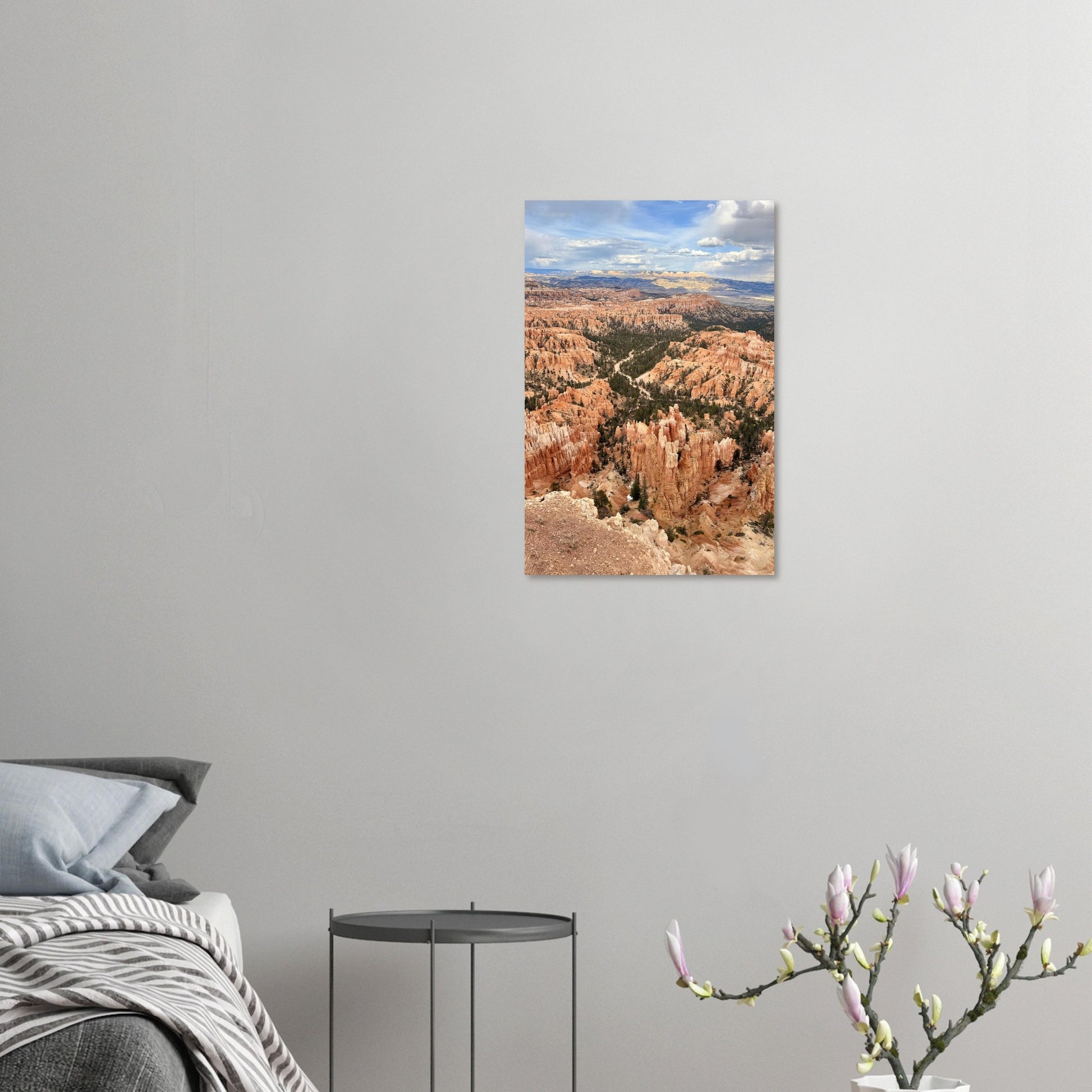 b5000d67-9db0-4196-896b-2b0346beaff5