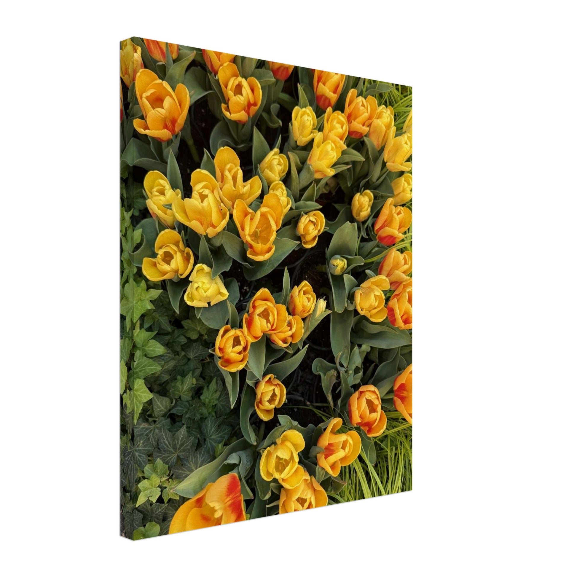 b54c197e-64d2-48f8-ad46-afd30cdfc1f8