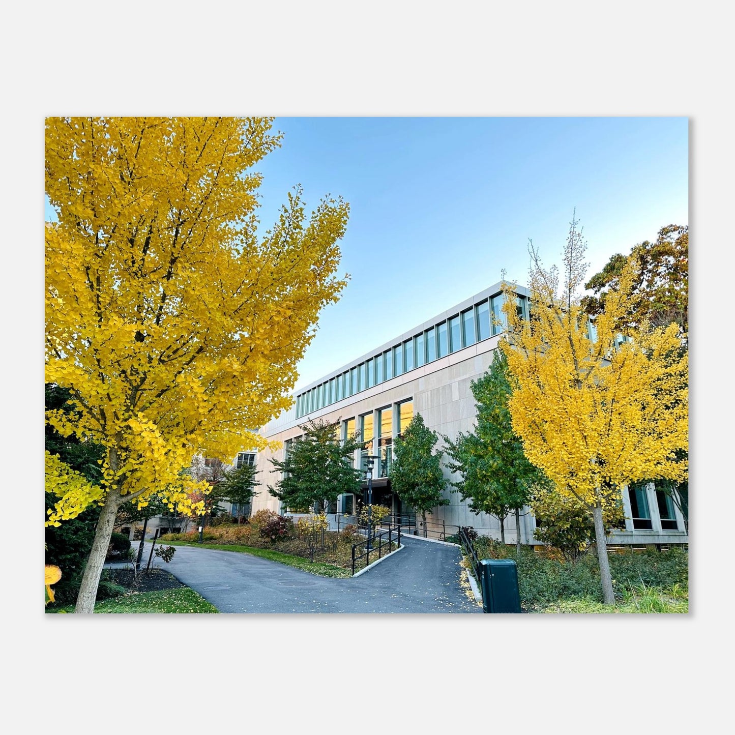 b592d5ef-6381-4d13-accb-c92642168069