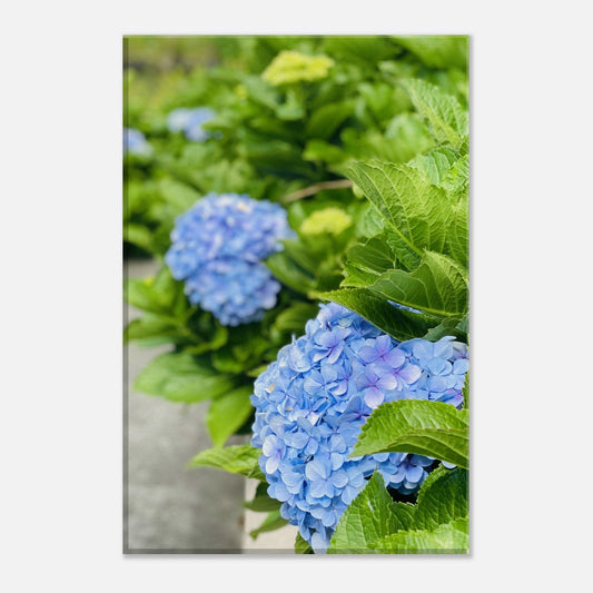 b59cb4b0-08b7-4d71-94e3-b0b74a53f198