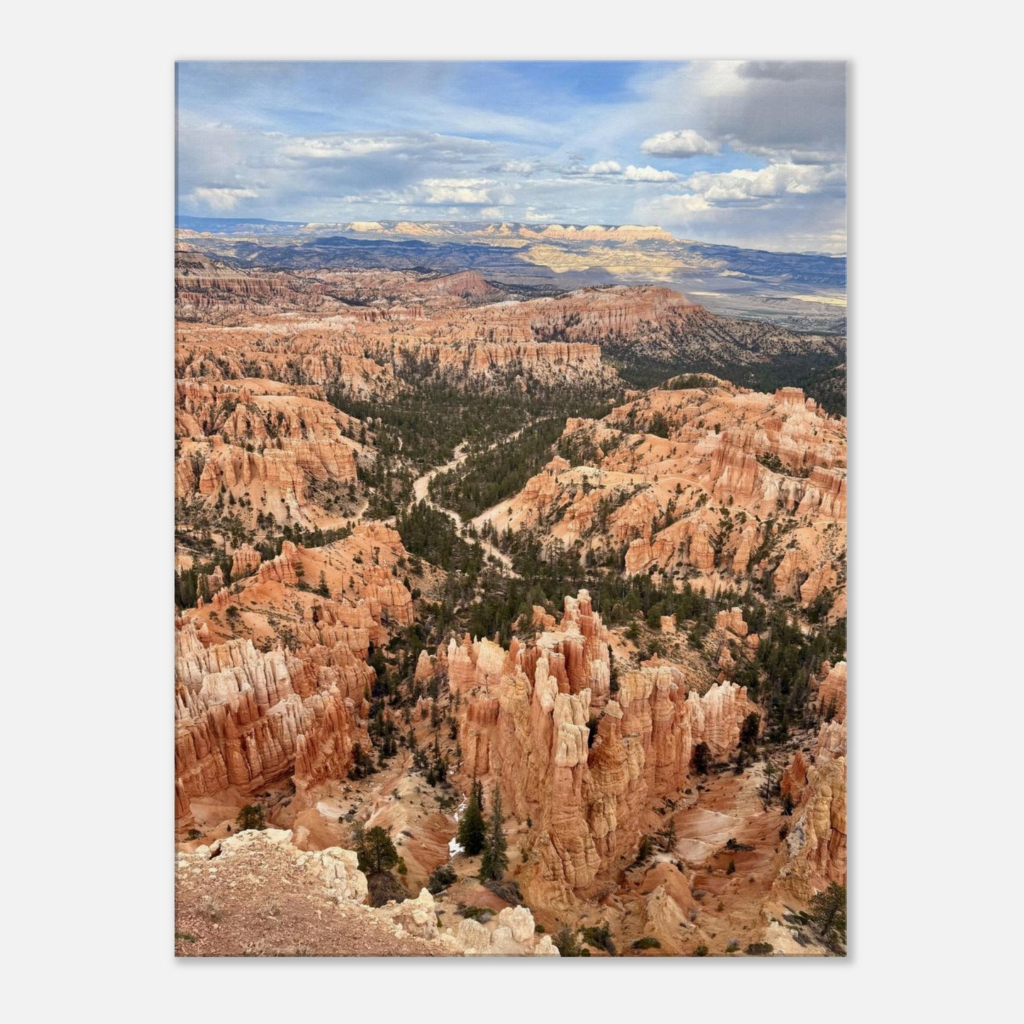 b827e465-203a-4120-b513-8ce325b488a0