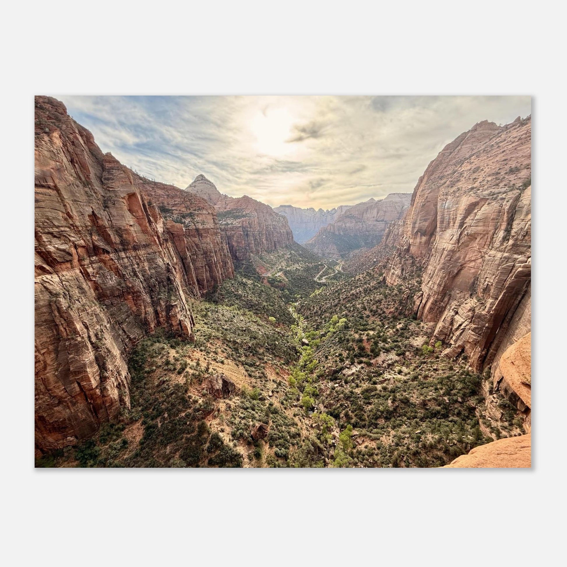 bcd637cf-5fa5-4fe9-a69c-4a8165a866d1