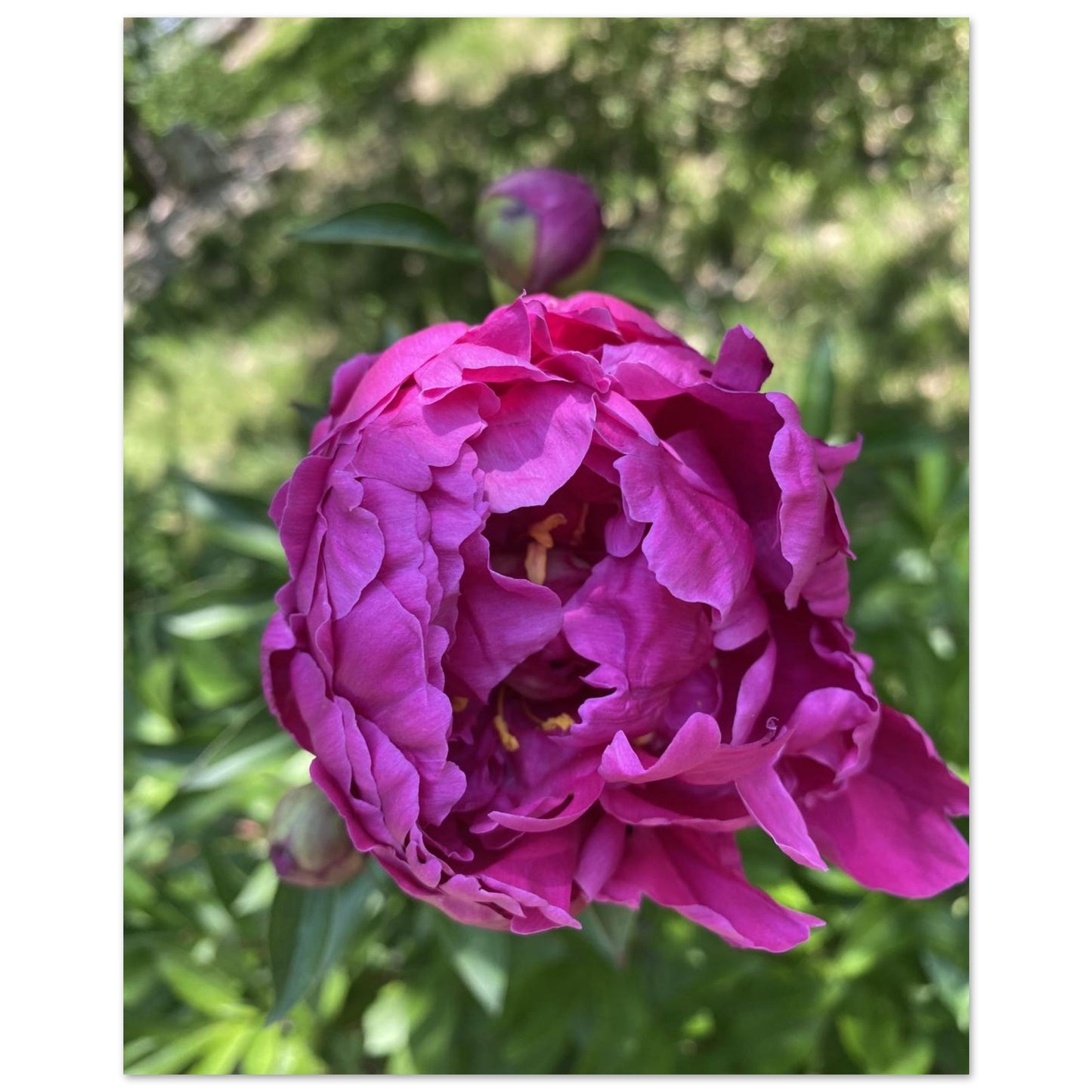 be7f874c-b6ed-4845-9ae2-beff9b931512