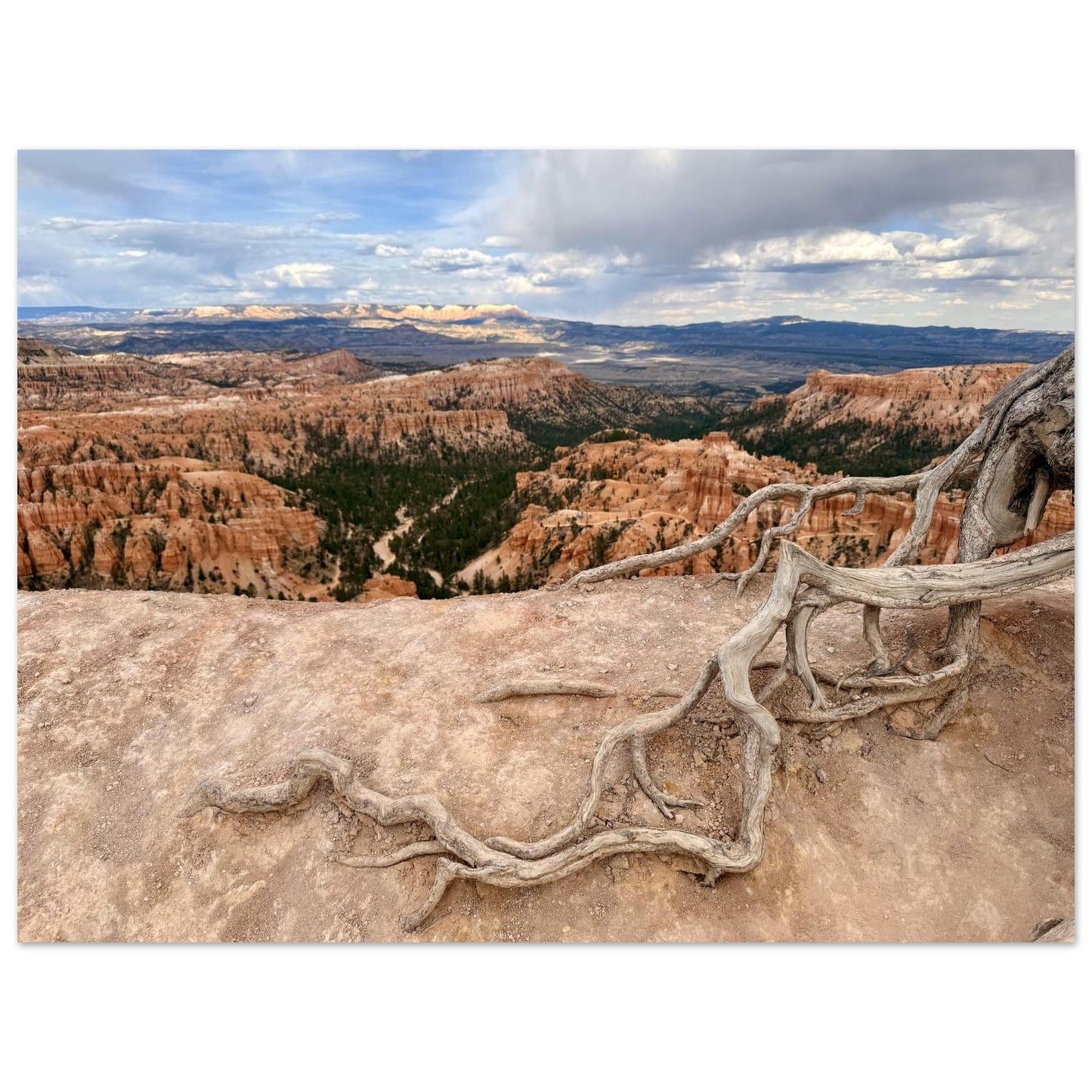 bef00fd4-eb96-45a8-801b-37a03d2698c3