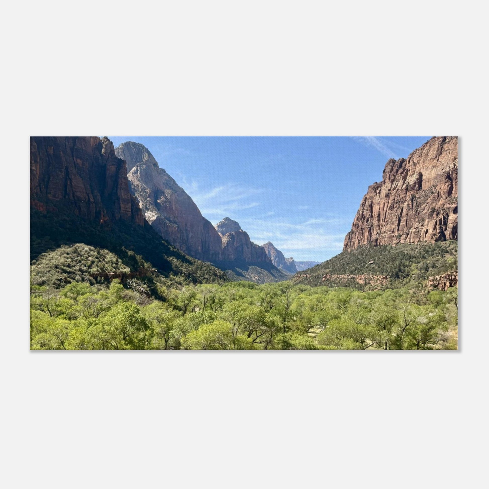 c44230fc-307d-4b2c-97c4-1a71f44cf96e