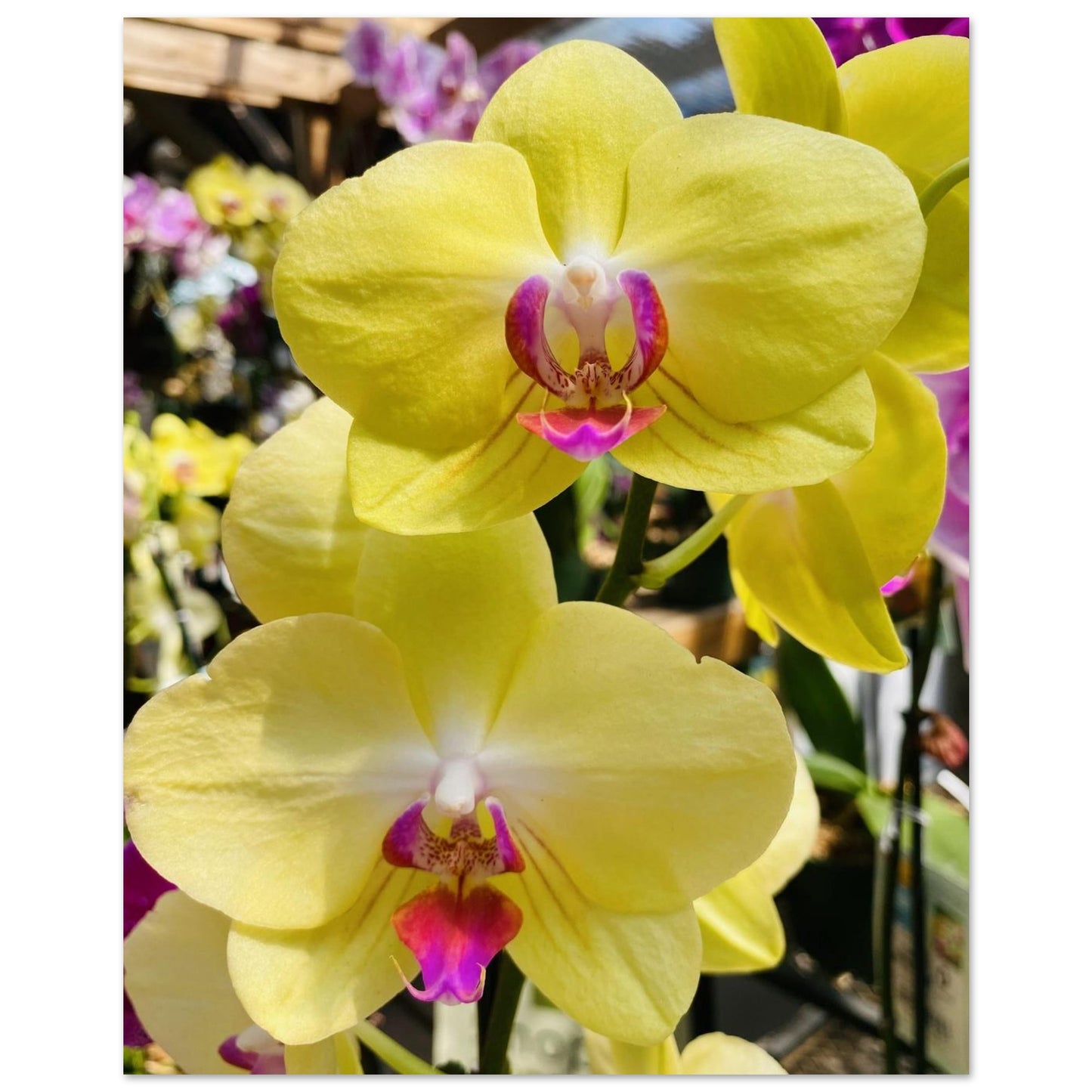 c5d301fd-9525-42fd-9166-4bab777c2bfe