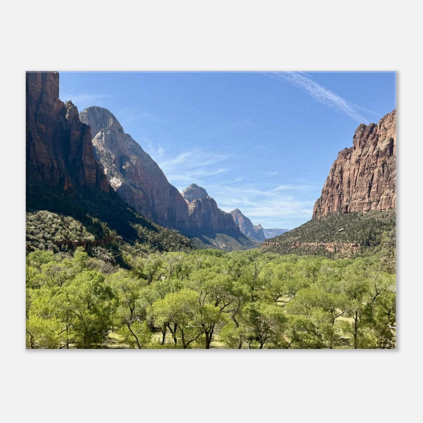 c92ebe9b-206c-47cf-a1c6-0cb6a6c7ab95