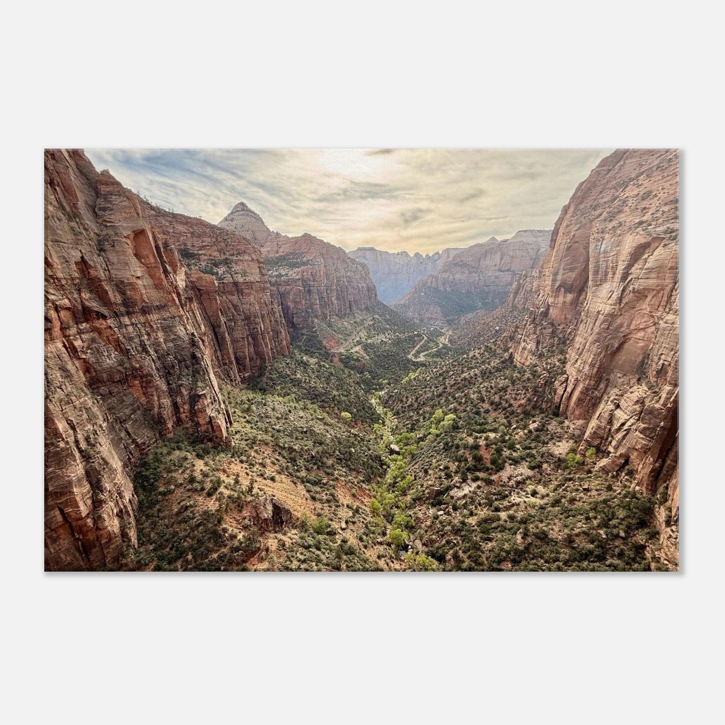 c97a5cd3-9100-4275-8941-903e7db3d34a