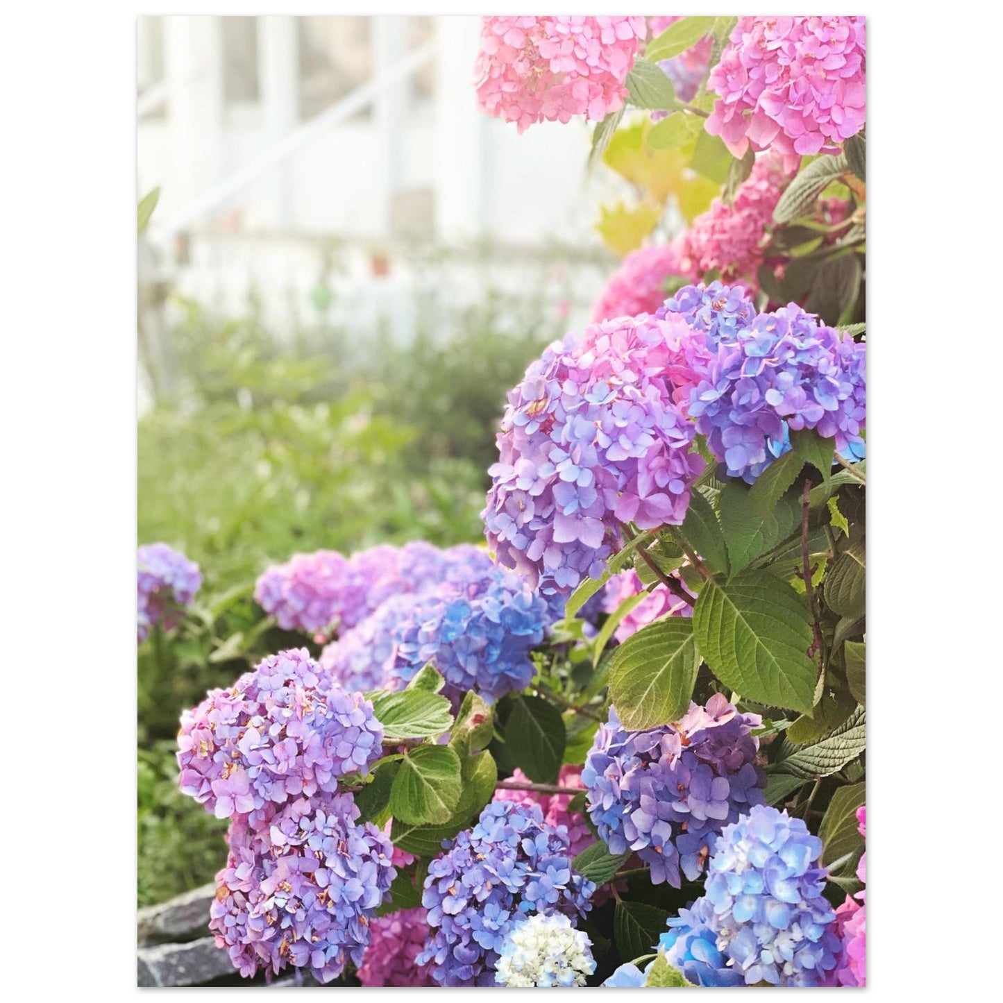 cab7562a-e14c-4108-a14a-62c89a3515c9