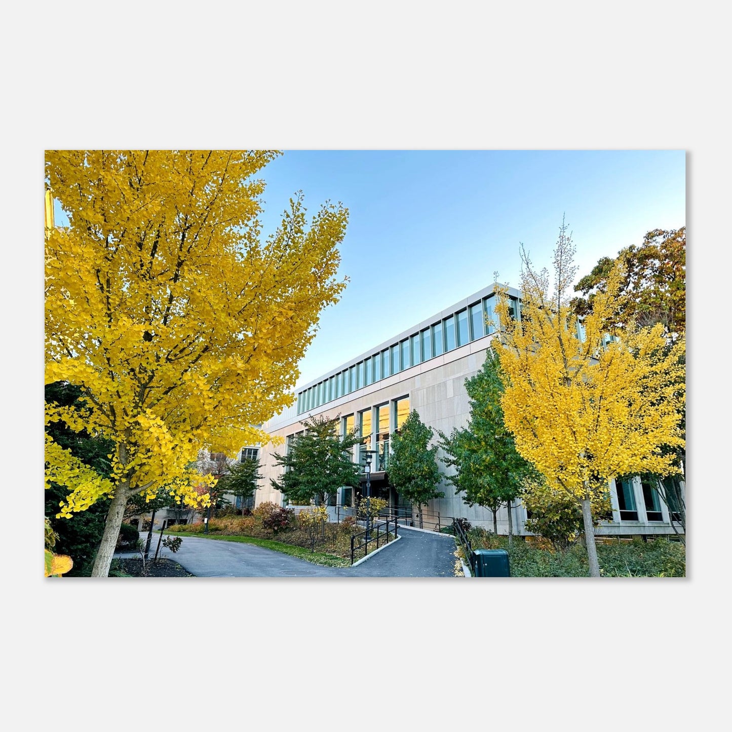 cbfb341c-3c10-4b2e-8260-0bc71c66534f