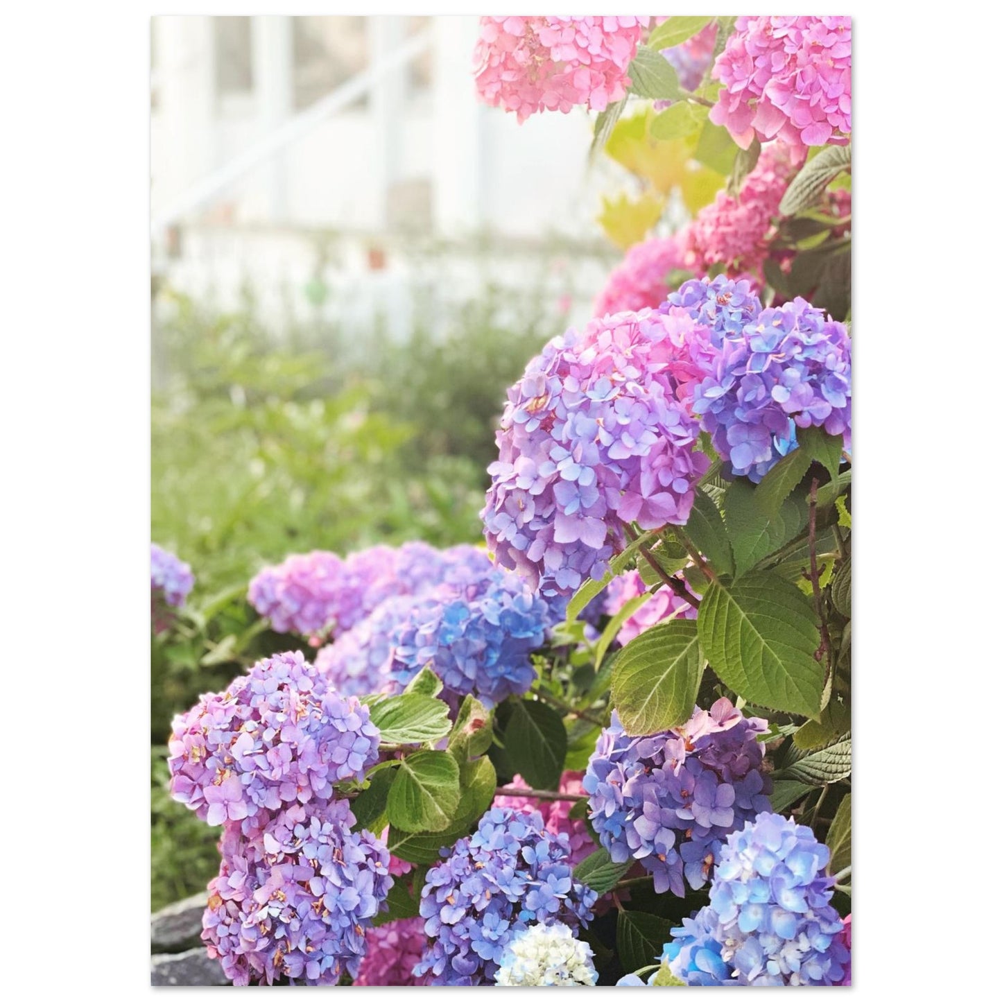 ce140841-d6fa-49d3-90b7-c52240244c31