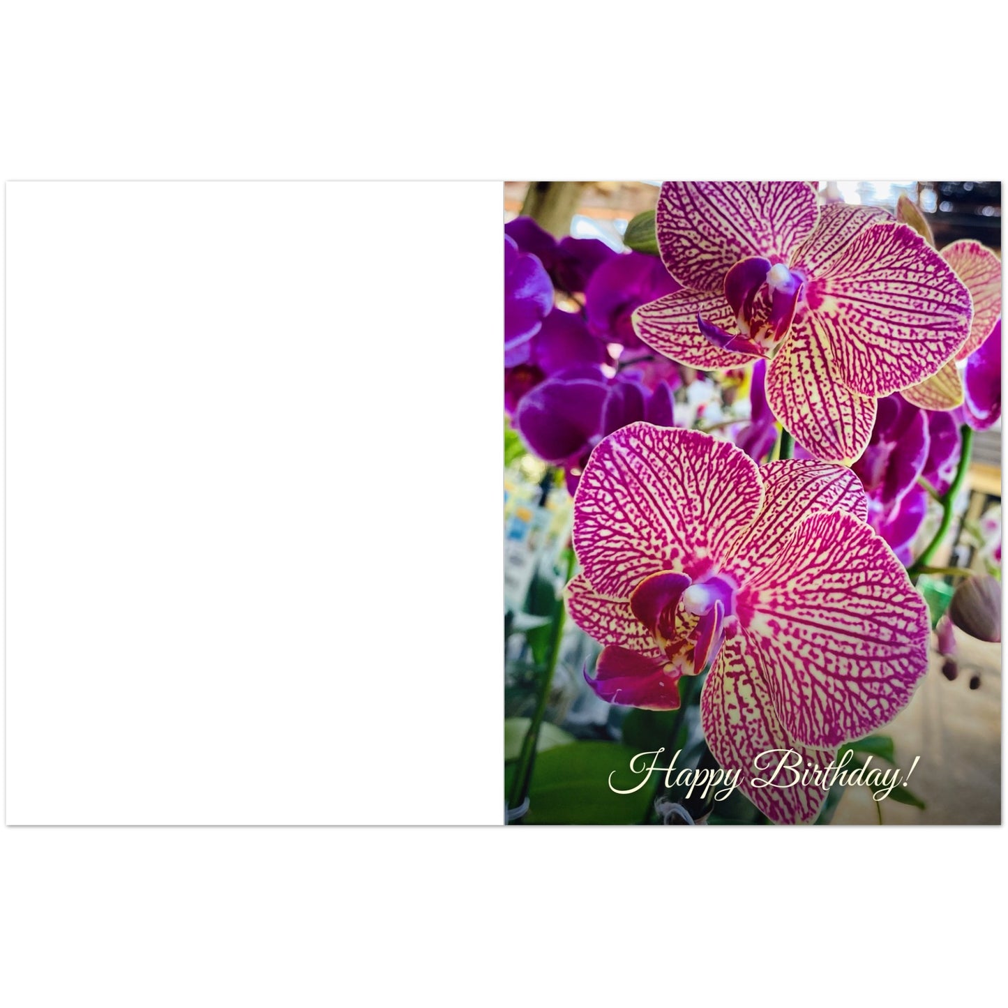 d0771274-df1b-45f6-b7b6-b9c69c3426c2