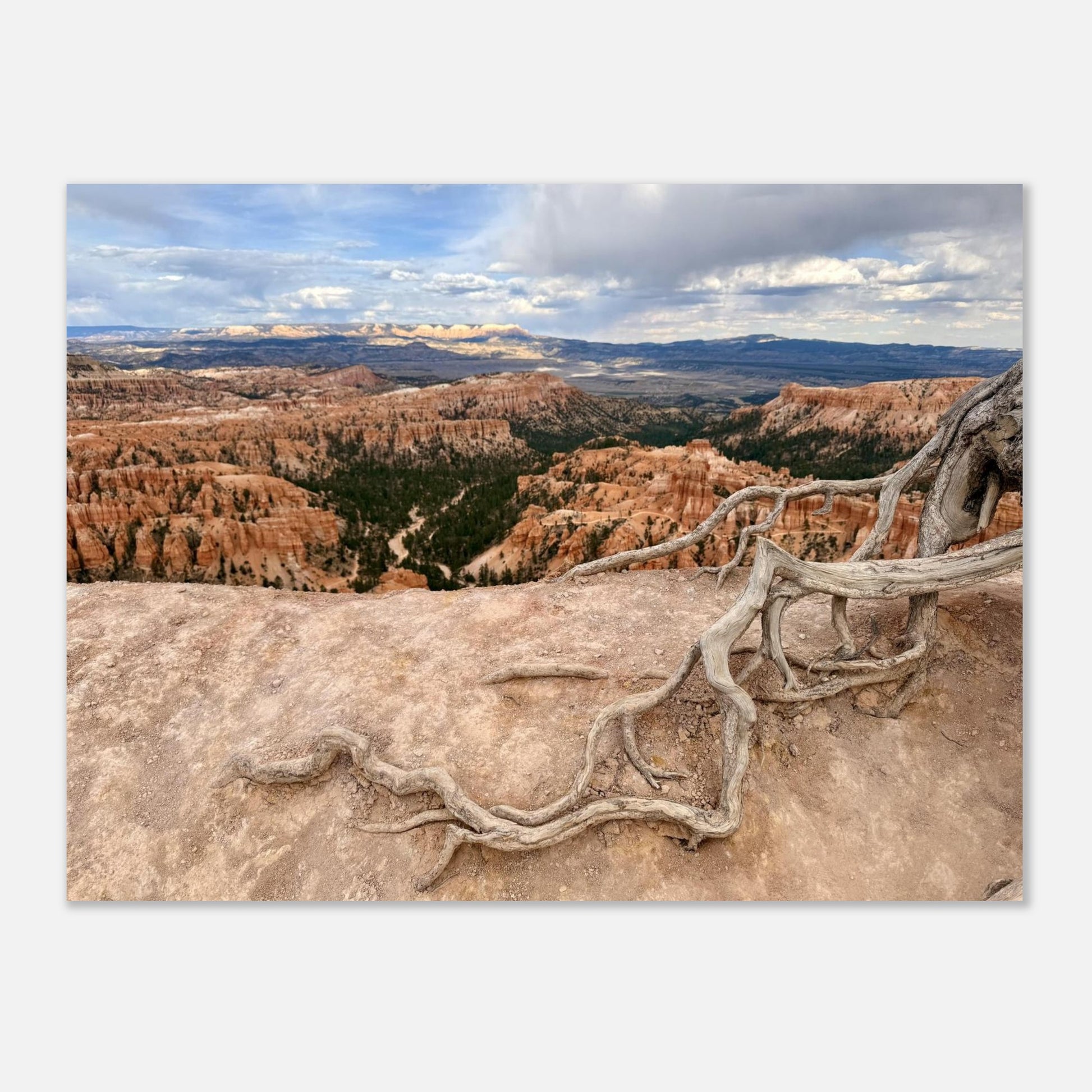 d0f68944-60e5-458b-9594-25393bd0e469